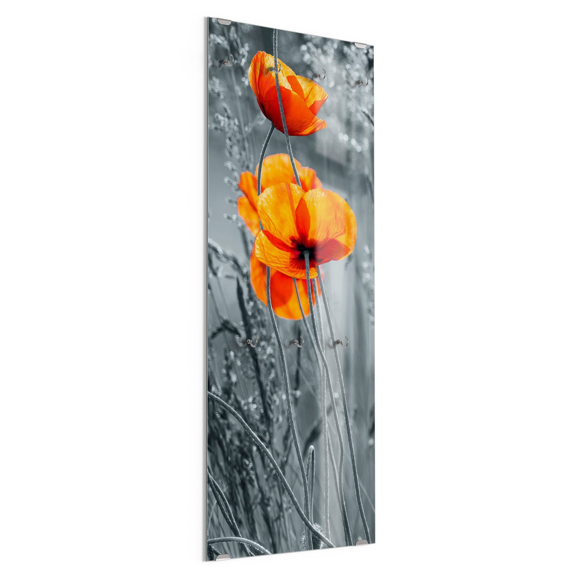 DEQORI Kleiderhaken 'Rote Mohnblumen', Glas Garderobe hängend Flur Jackenhalter modern Wandgarderobe Haken