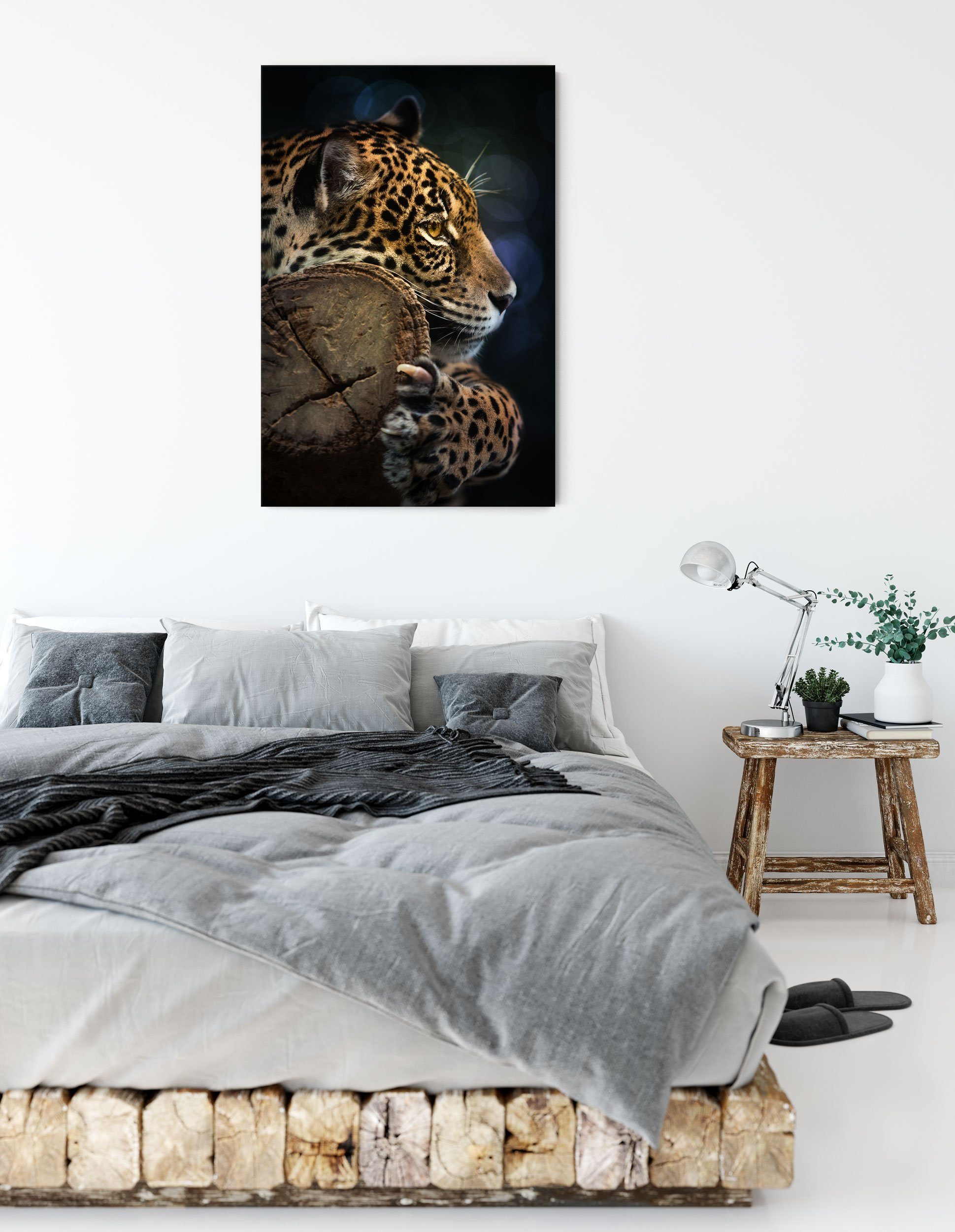Wunderschöner Leopard (1 Wunderschöner Pixxprint bespannt, Leinwandbild Zackenaufhänger St), inkl. Leinwandbild fertig Leopard,