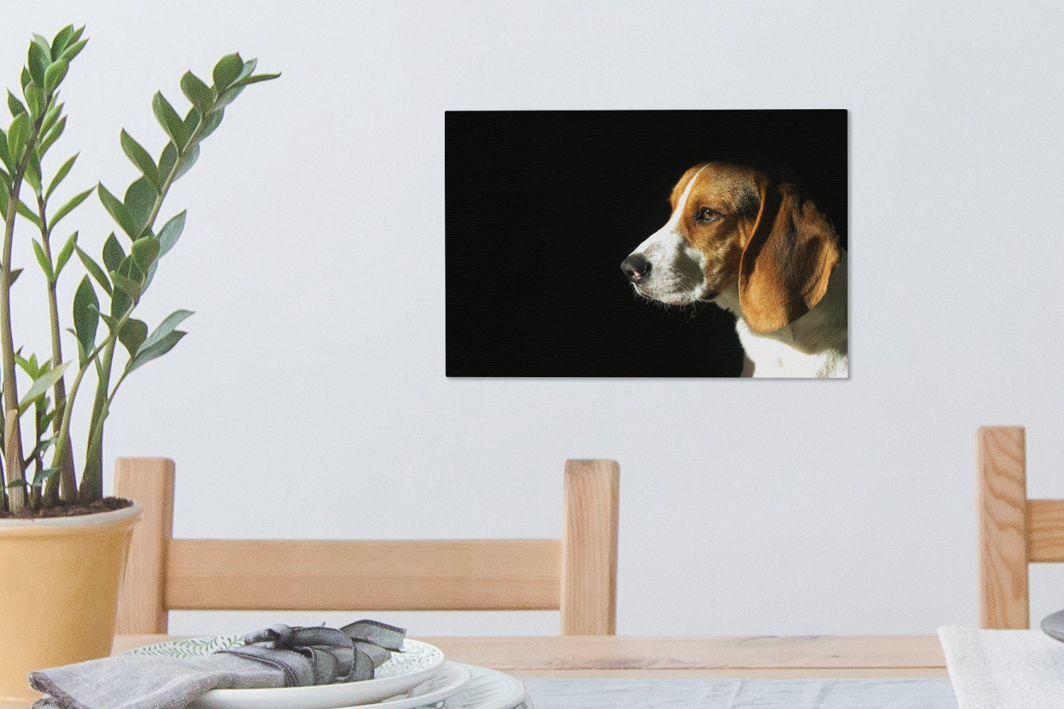 St), Aufhängefertig, Leinwandbild 30x20 die Ein Wanddeko, Leinwandbilder, cm Wandbild Beagle genießt OneMillionCanvasses® Sonne, (1