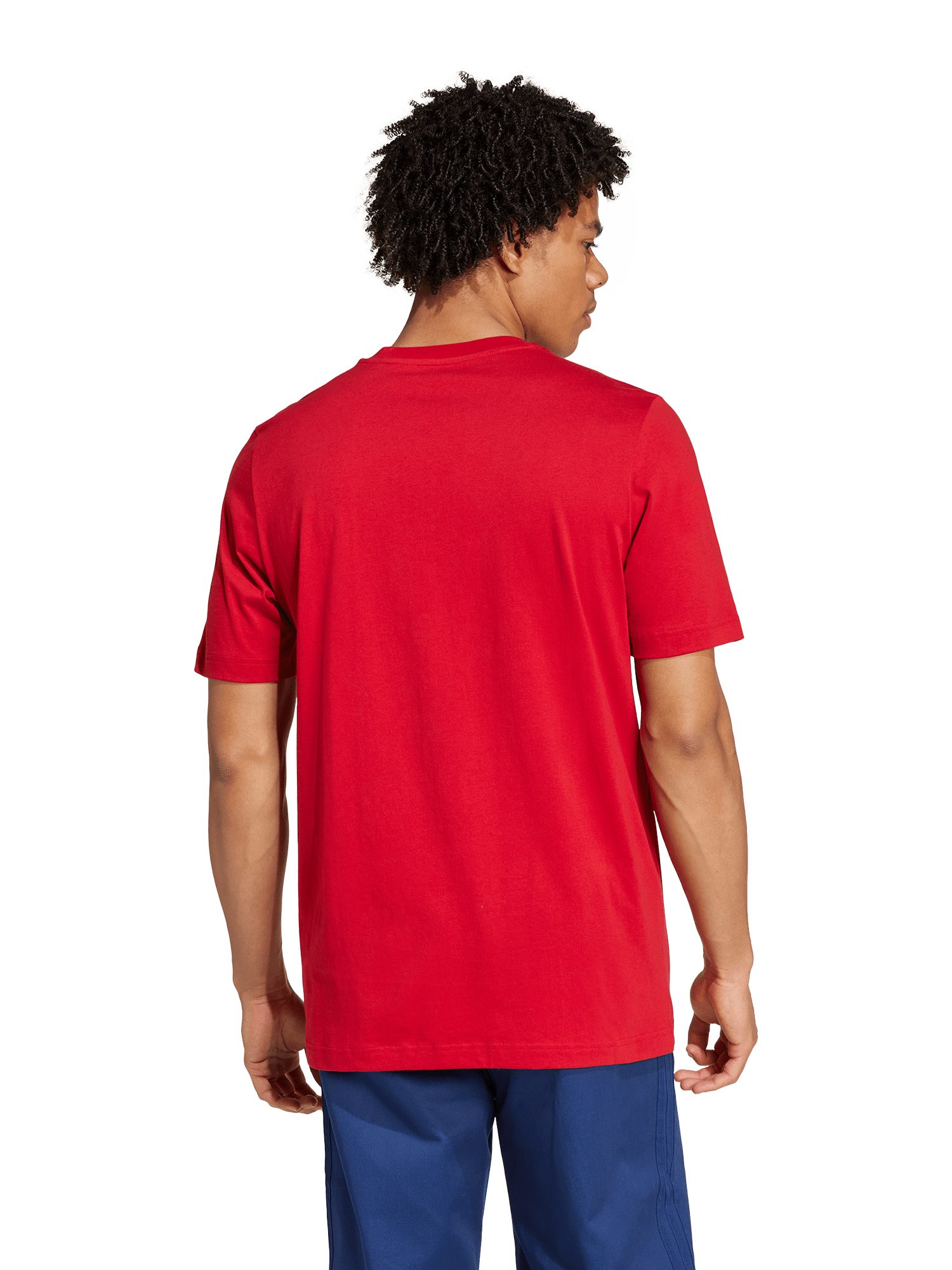 adidas Performance T-Shirt FC Bayern München, T-Shirt Graphic DNA, Herren, günstig online kaufen