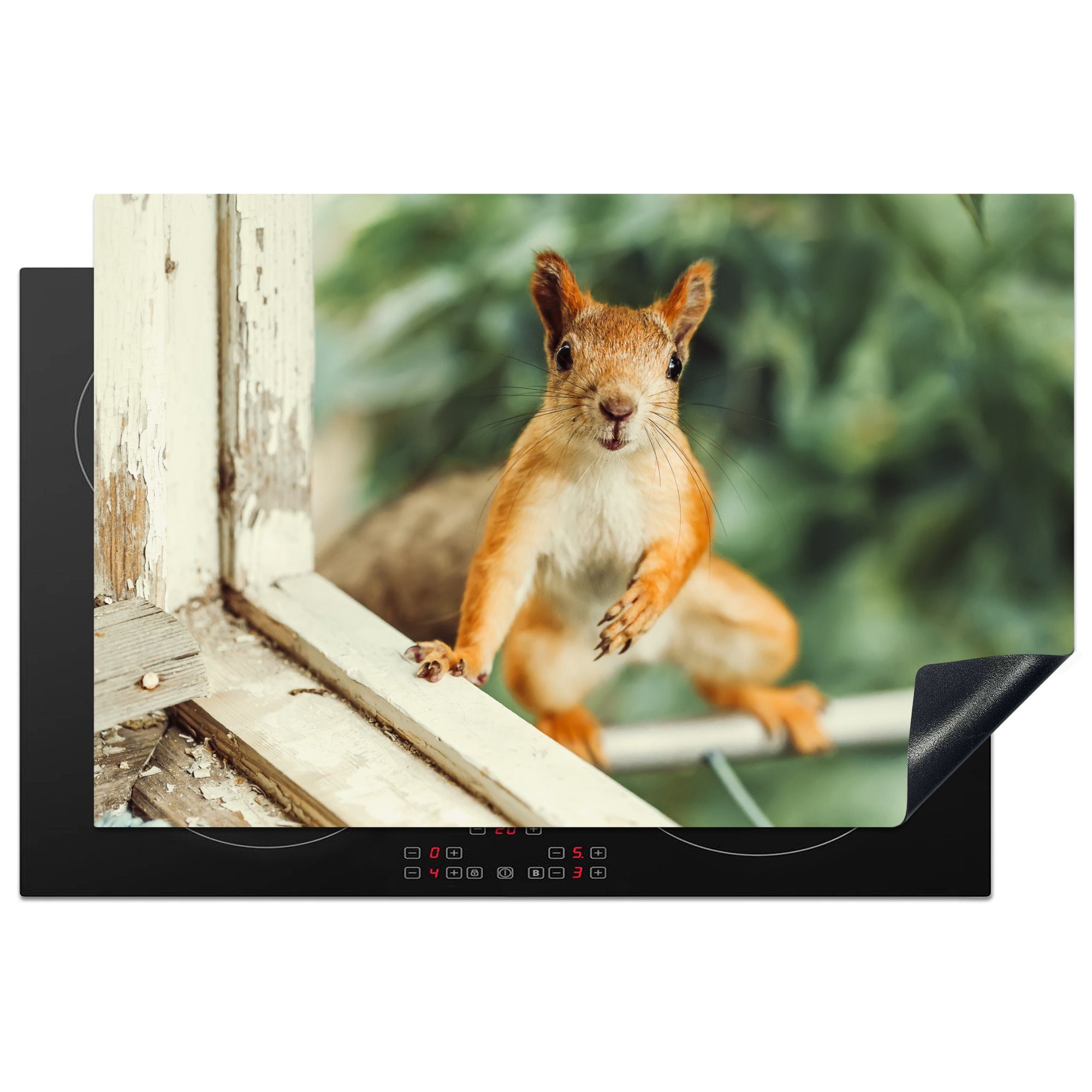 MuchoWow Herdblende-/Abdeckplatte Eichhörnchen - Fenster - Waldtiere, Vinyl, (1 tlg), 81x52 cm, Induktionskochfeld Schutz für die küche, Ceranfeldabdeckung