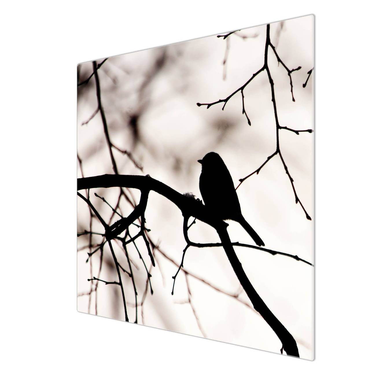 banjado Herd-Abdeckplatte Glas Früher Vogel, (gehärtet, 1 tlg., inkl. selbstklebende Gummifüßchen)