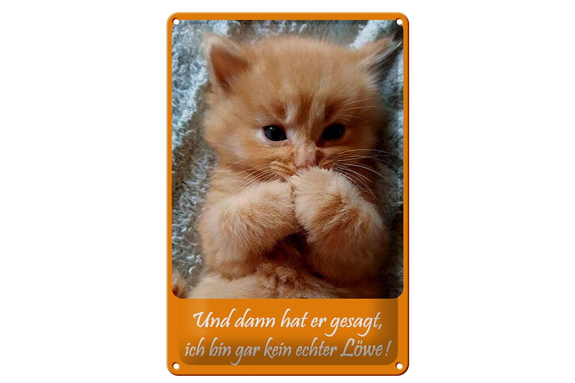 Femer GmbH Metallbild Tiere 20x30 cm Katzen Baby ich bin gar kein Löwe