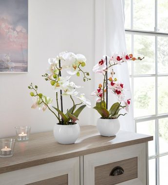 Kunstorchidee Ernestine Orchidee, Home affaire, Höhe 42 cm, Kunstpflanze, im Topf