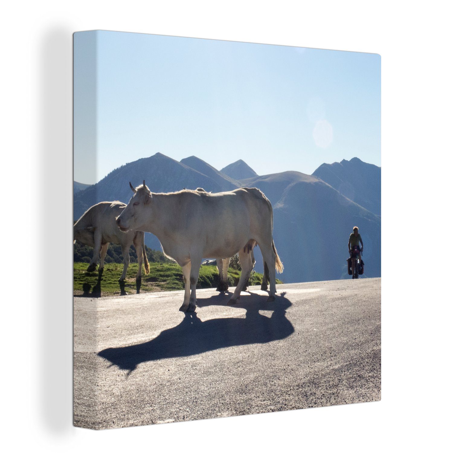 OneMillionCanvasses® Leinwandbild Schottische Highlander - Licht - Berge - Natur, (1 St), Leinwand Bilder für Wohnzimmer Schlafzimmer bunt