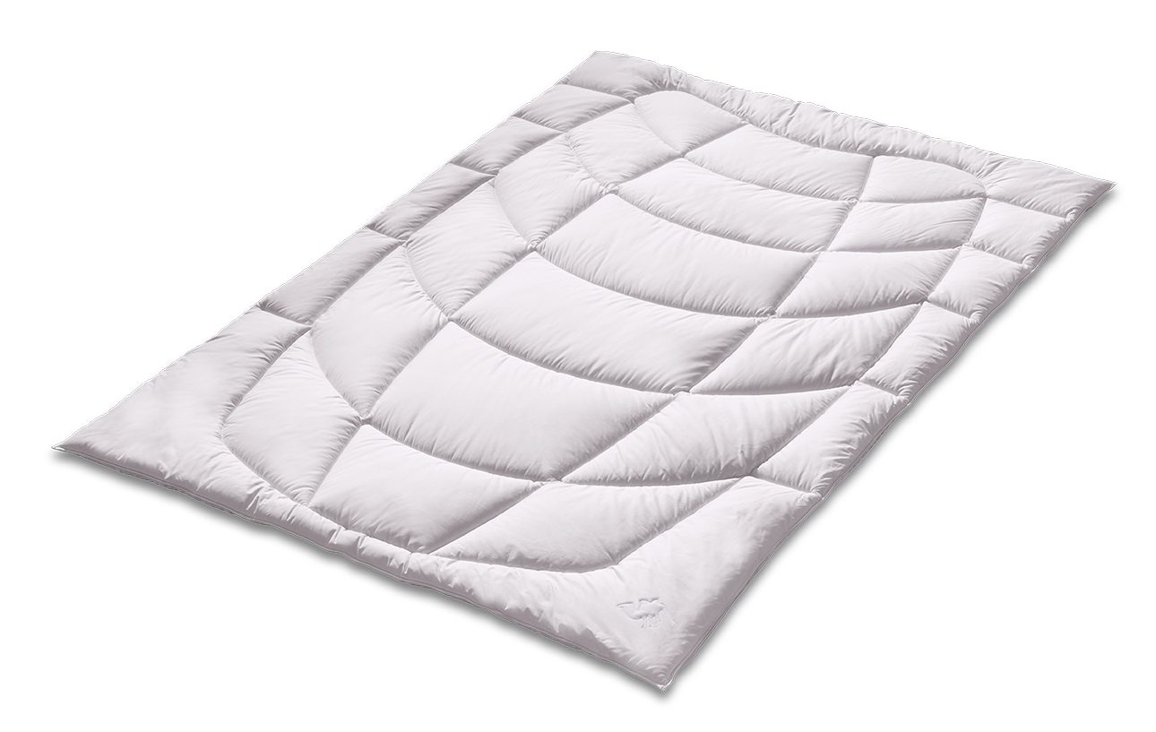 Sanders Kauffmann Naturhaarbettdecke Kamelhaarbettdecke Steppbett - Duo (Warm), Füllung: 100% Kamelhaar, Bezug: 100% Baumwolle, Optimale Wärmeregulierung, natürlich trockenes Schlafklima