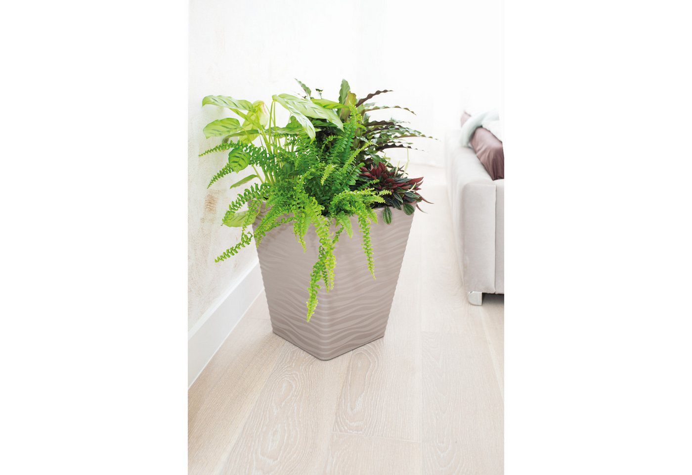 Thumbnail - FORM-PLASTIC Blumentopf, Sahara Dunes Blumentopf 40x40 cm