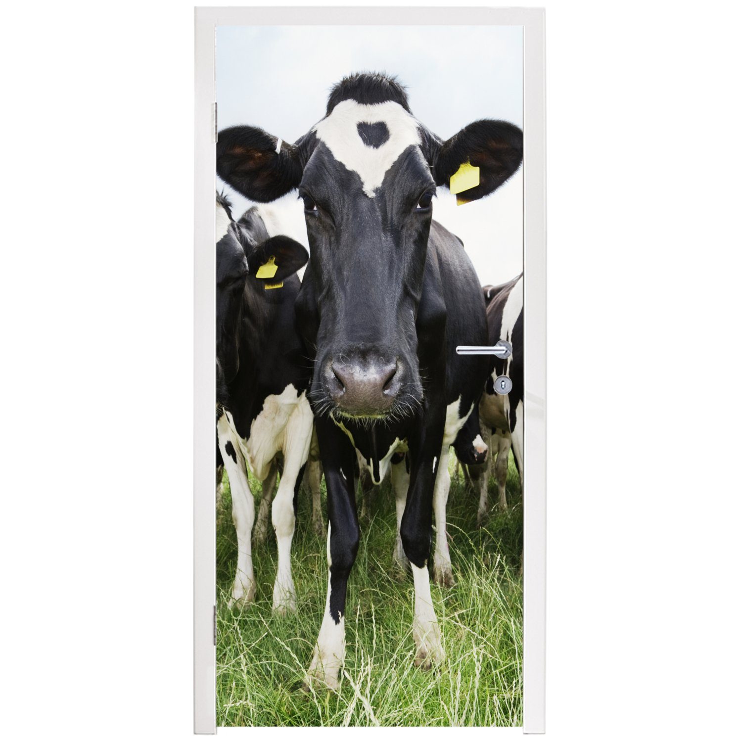 MuchoWow Türtapete Kühe - Gras 75x205 Tür, bedruckt, Matt, Tiere - Fototapete für Wiese - - Frühling (1 Bauernhof, cm Türaufkleber, St), 