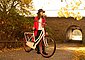 KS Cycling Hollandrad »Tussaud«, 1 Gang, Bild 10