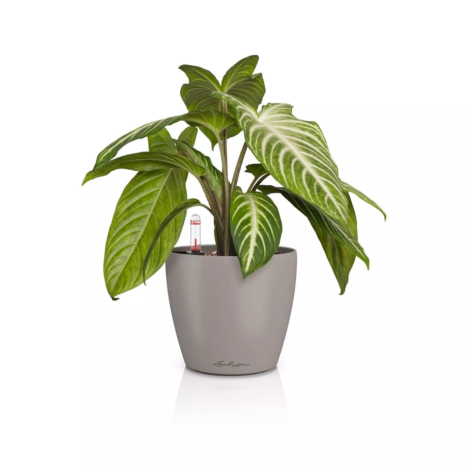 Lechuza® Blumentopf Classico Color 14 sandbraun (Komplettset)