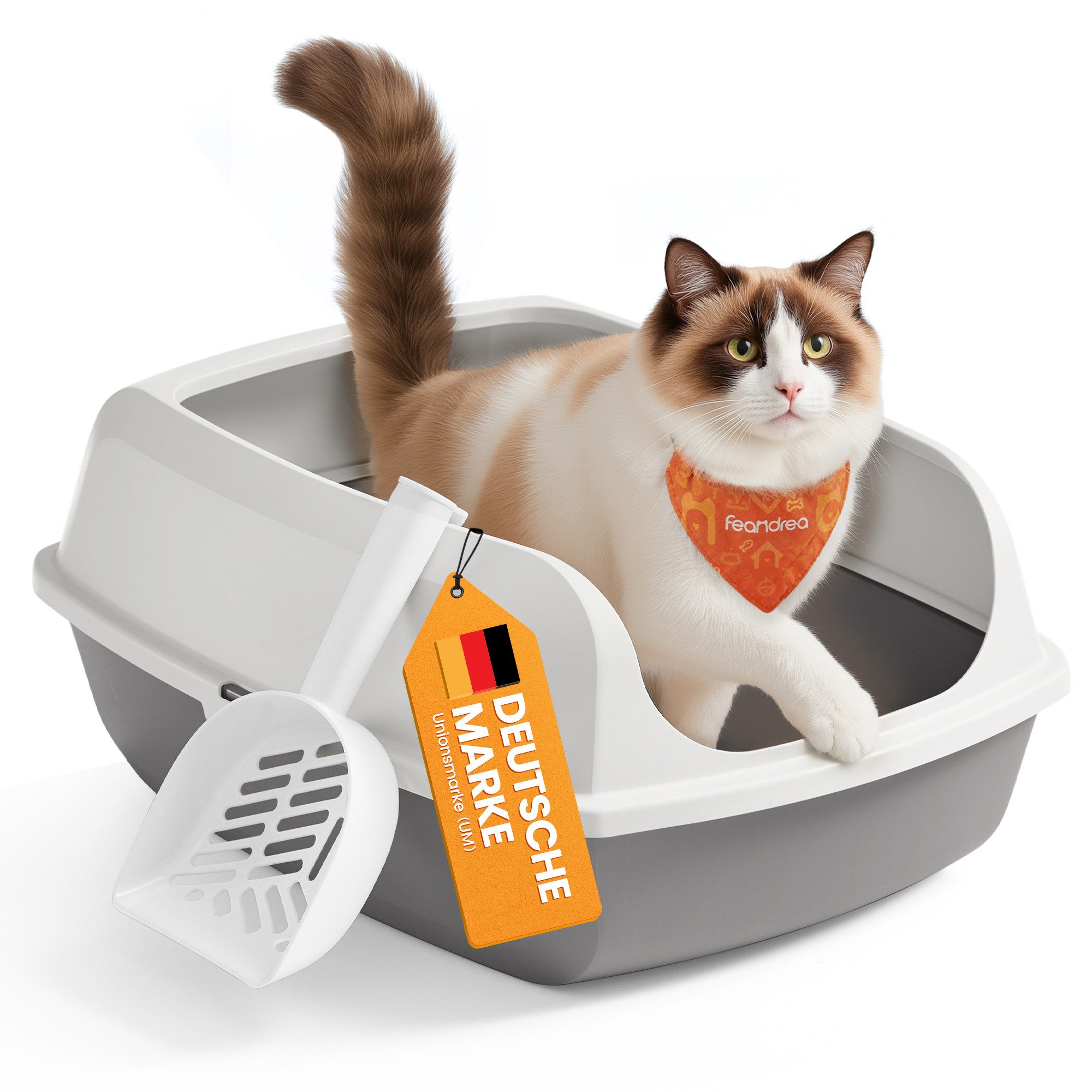 FEANDREA Katzentoilette Katzenklo, offene Katzentoilette, für Kätzchen und große Katzen, mit hohen Seitenwänden, XXL, mit Schaufel, 56 x 42 x 23,5 cm