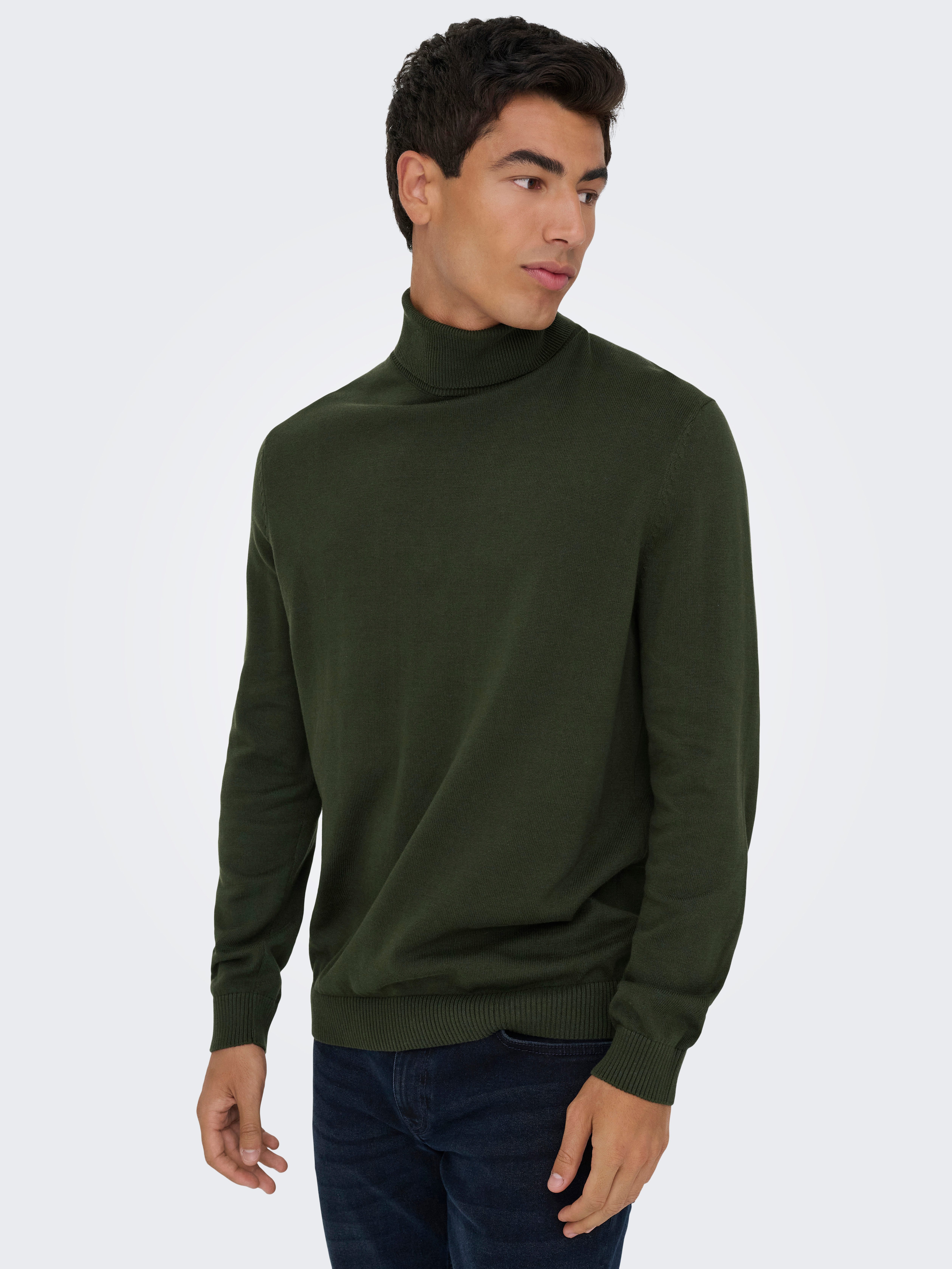 ONLY & SONS Rollkragenpullover ONSHOLGER REG ROLL NECK KNIT - OTL günstig online kaufen