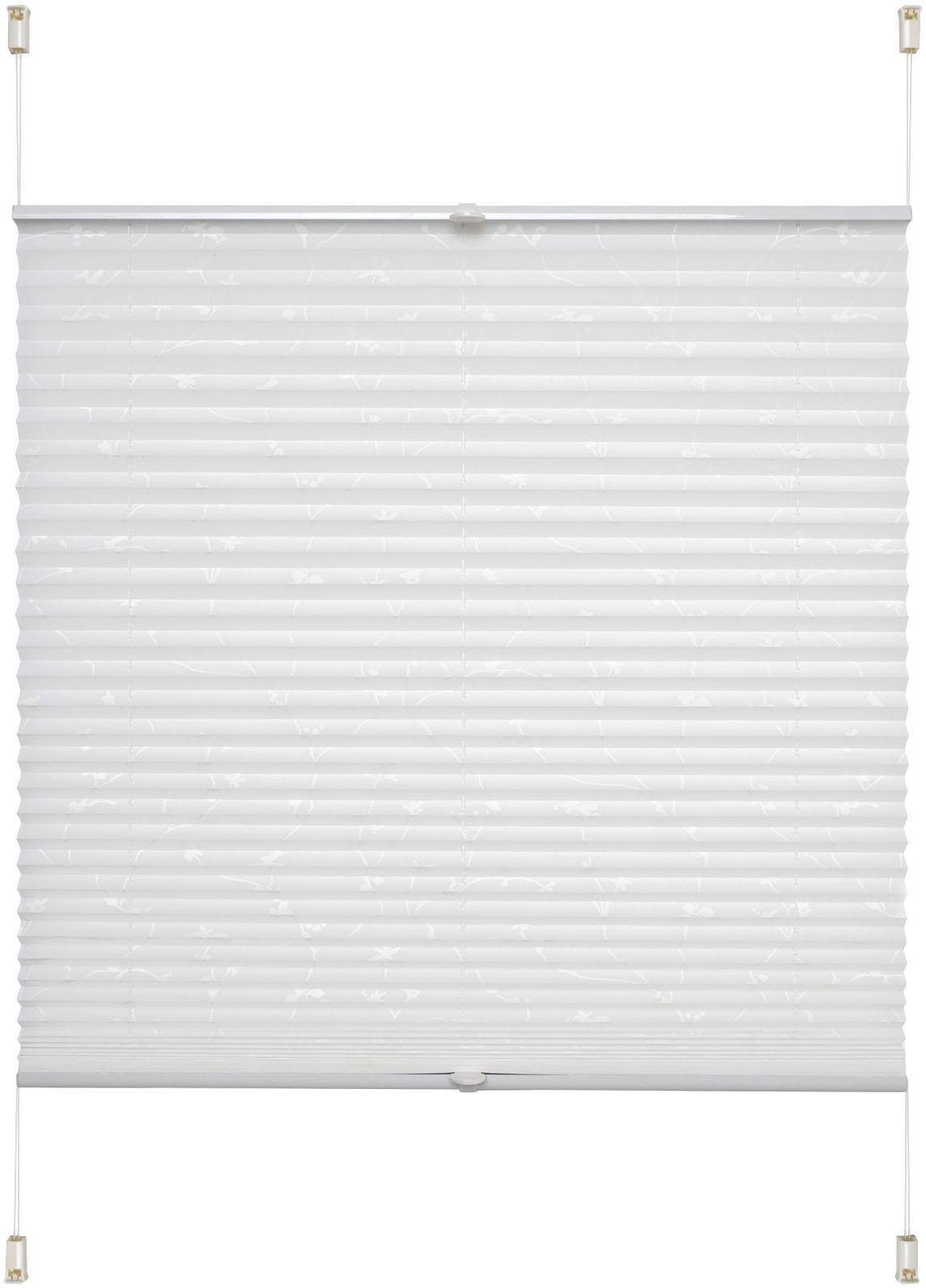 Liedeco Plissee Klemmfix-Plissee Ranke grau, Lichtschutz, ohne Bohren, vers günstig online kaufen