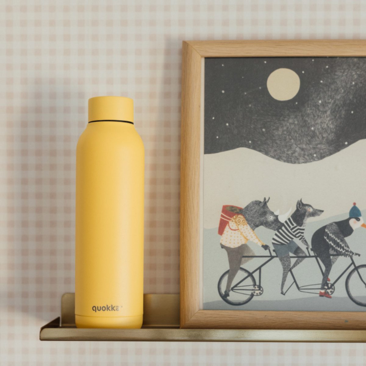 Quokka Trinkflasche Isolierte 630 ml aus Edelstahl Thermoflasche für unterwegs, Thermofunktion