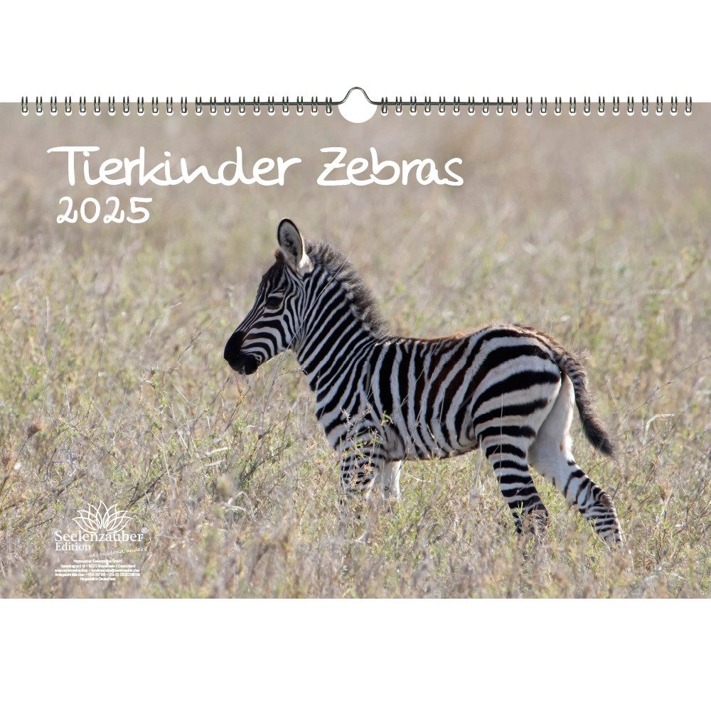 Seelenzauber Wandkalender Tierkinder Zebras DIN A3 Kalender für 2025 Zebra