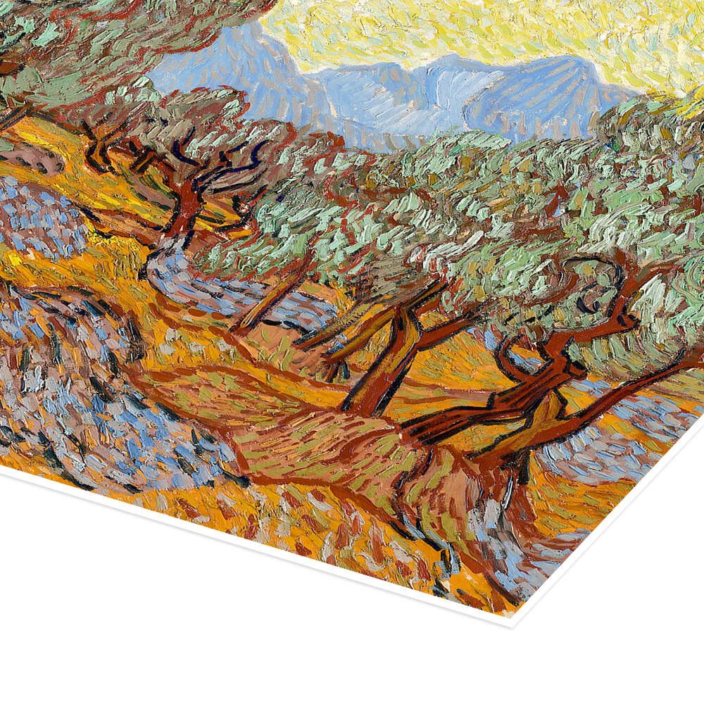 Posterlounge Wandbild Olivenbäume mit gelbem Himmel und Sonne, Vincent van Gogh, erhältlich als Poster, Leinwandbild, Wandsticker oder Acrylglasbild