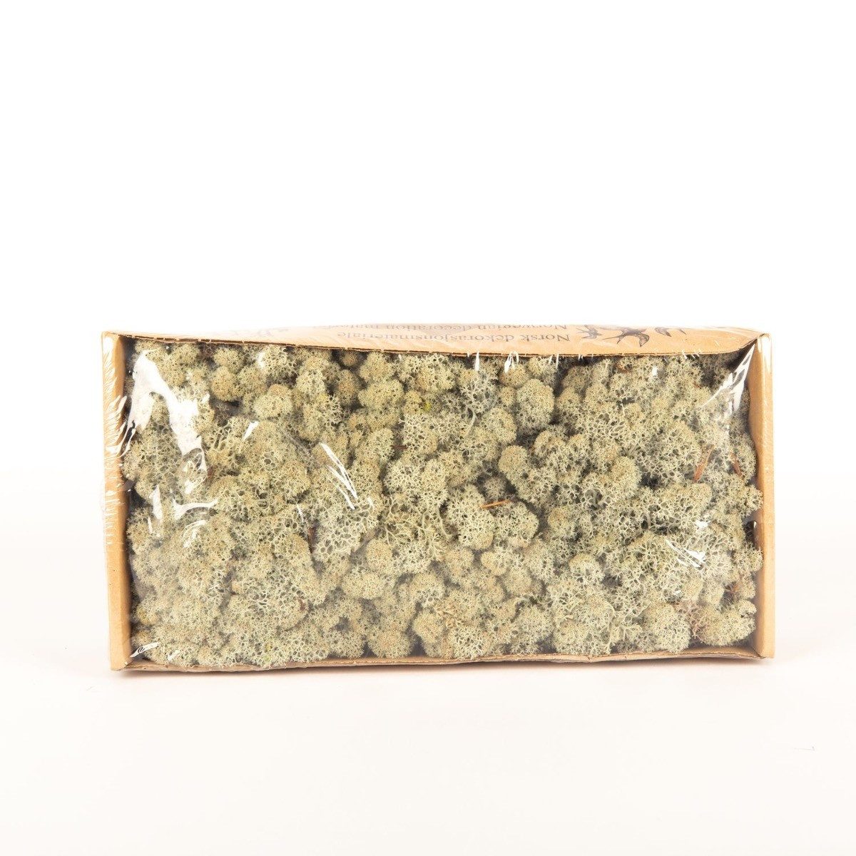 INNA-Glas Moos Dekoratives Moos SVEINBJÖRN, grau, 500g