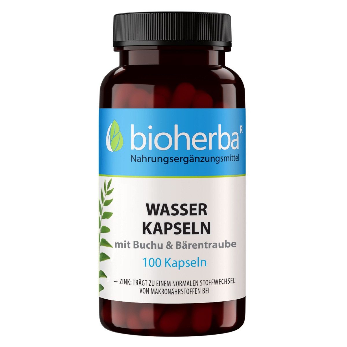 BIOHERBA R Bioherba Wasser Kapseln mit Buchu & Bärentraube 100 Stück Nahrungsergänzungsmittel, 1 er