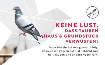 riijk Vogel-Schreck Taubenabwehr Spikes, Vogelabwehr aus Edelstahl - Balkon & Fenster, bereits montiert