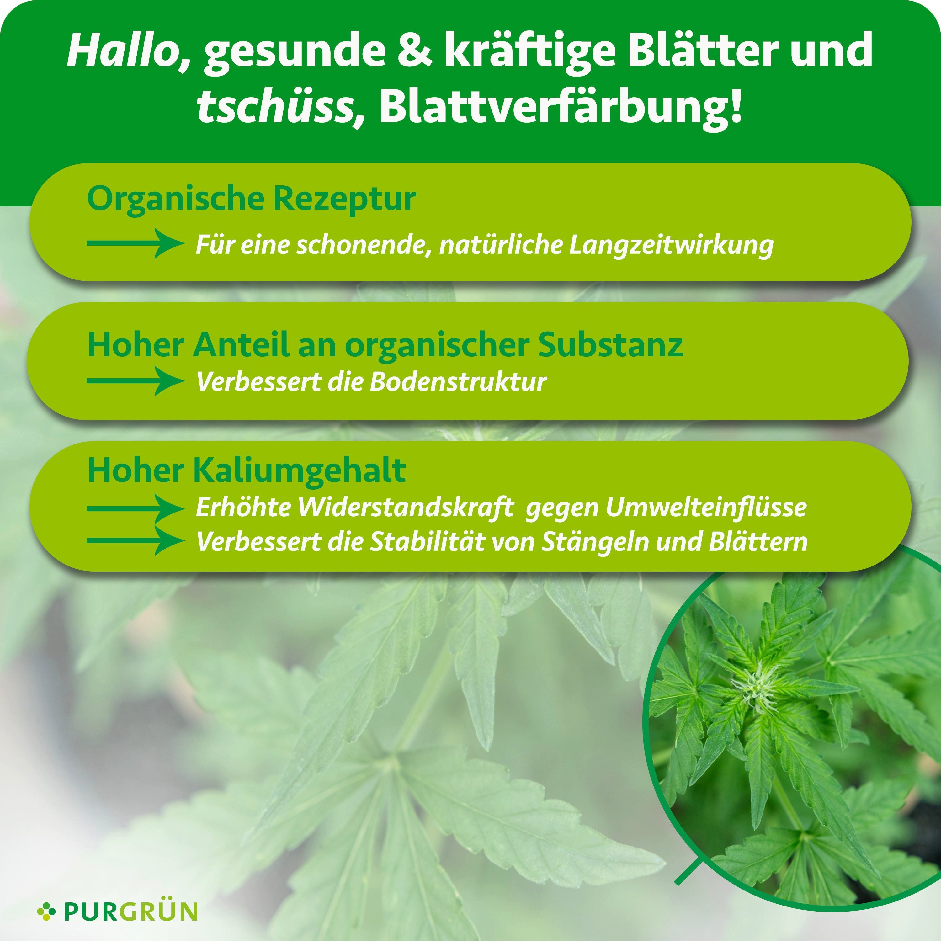 Purgrün Pflanzendünger Bio Cannabis Dünger, NPK 4+1+7, Algenextrakt, 1 Liter, Flüssigdünger, 1-St., 1 Liter
