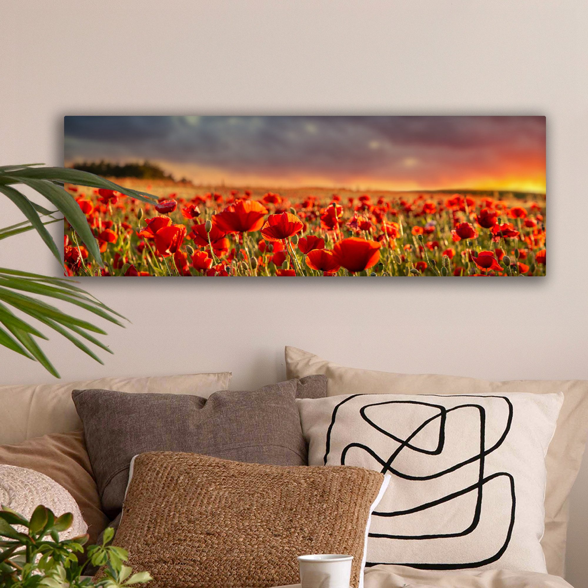 OneMillionCanvasses® Leinwandbild Panorama Sonnenuntergang - Mohnblumen - R günstig online kaufen