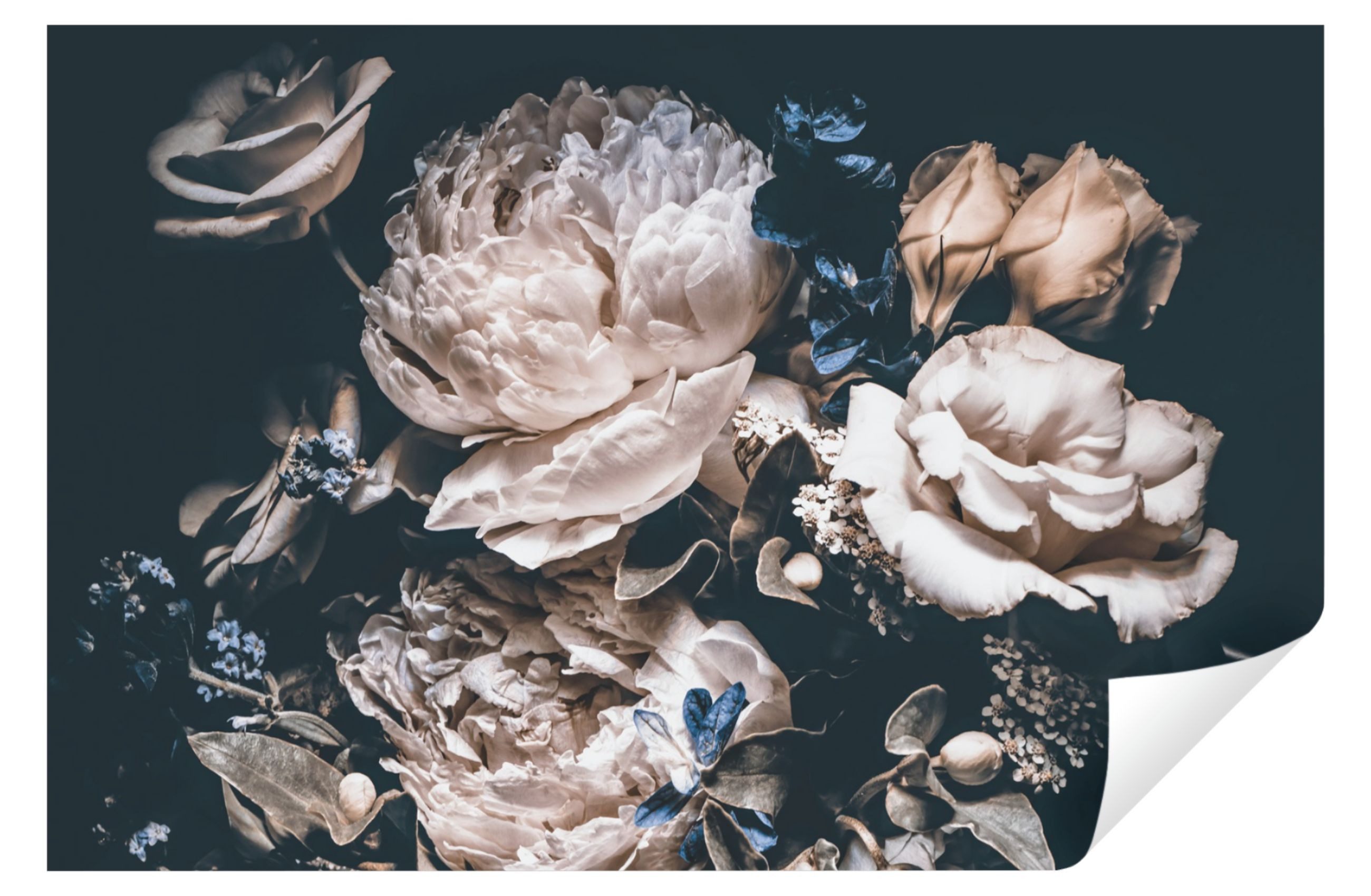 Wallarena Fototapete Blumen Vintage Rose Pfingstrosen 3D Effekt Wohnzimmer Schlafzimmer, Glatt, Blumen, Tapete inklusive Kleister Vliestapete Motivtapete