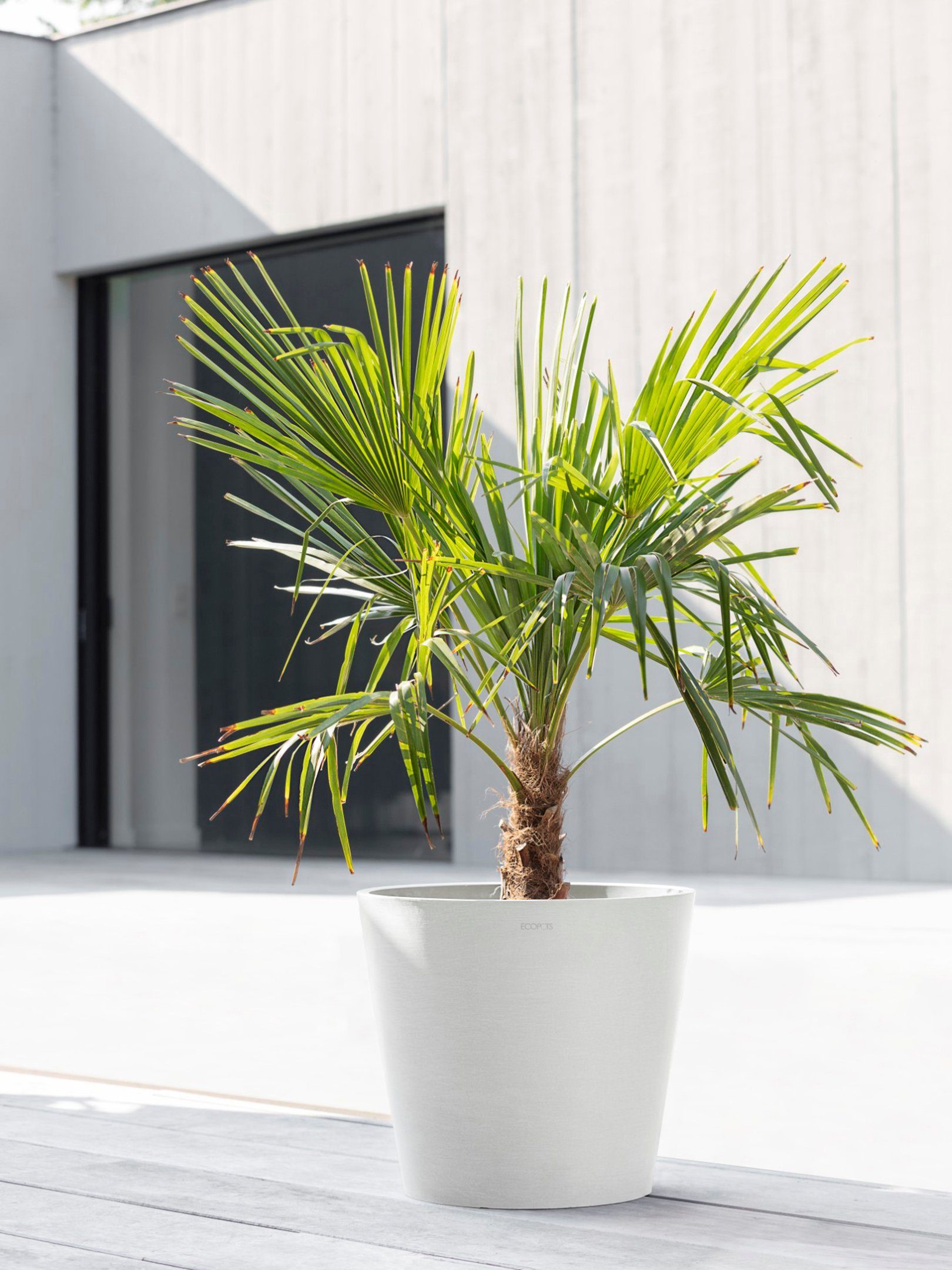 ECOPOTS Blumentopf Amsterdam 40 Weiß, für günstig online kaufen