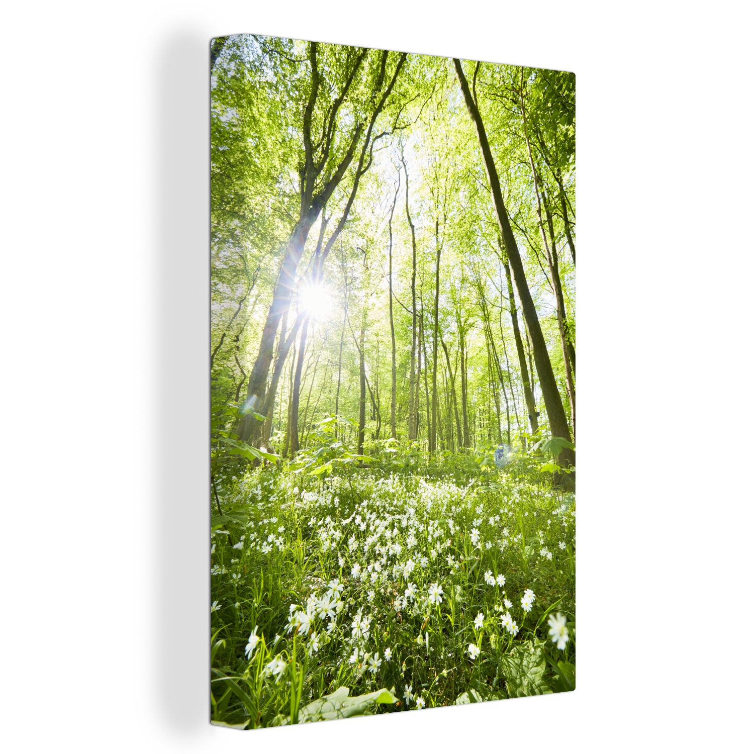 OneMillionCanvasses® Leinwandbild Frühling - Blumen - Grün, (1 St), Leinwandbild fertig bespannt inkl. Zackenaufhänger, Gemälde, 20x30 cm