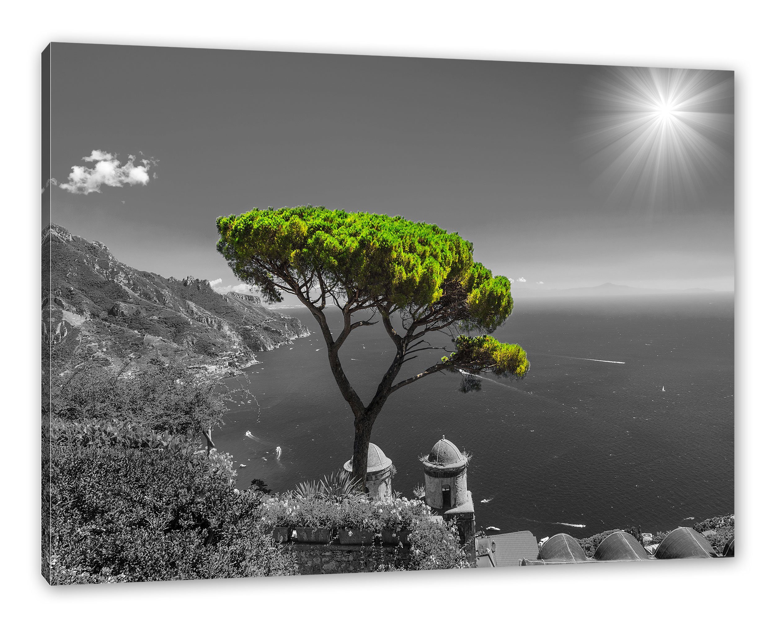 Pixxprint Leinwandbild Baum am Mittelmeer, Baum am Mittelmeer (1 St), Leinwandbild fertig bespannt, inkl. Zackenaufhänger