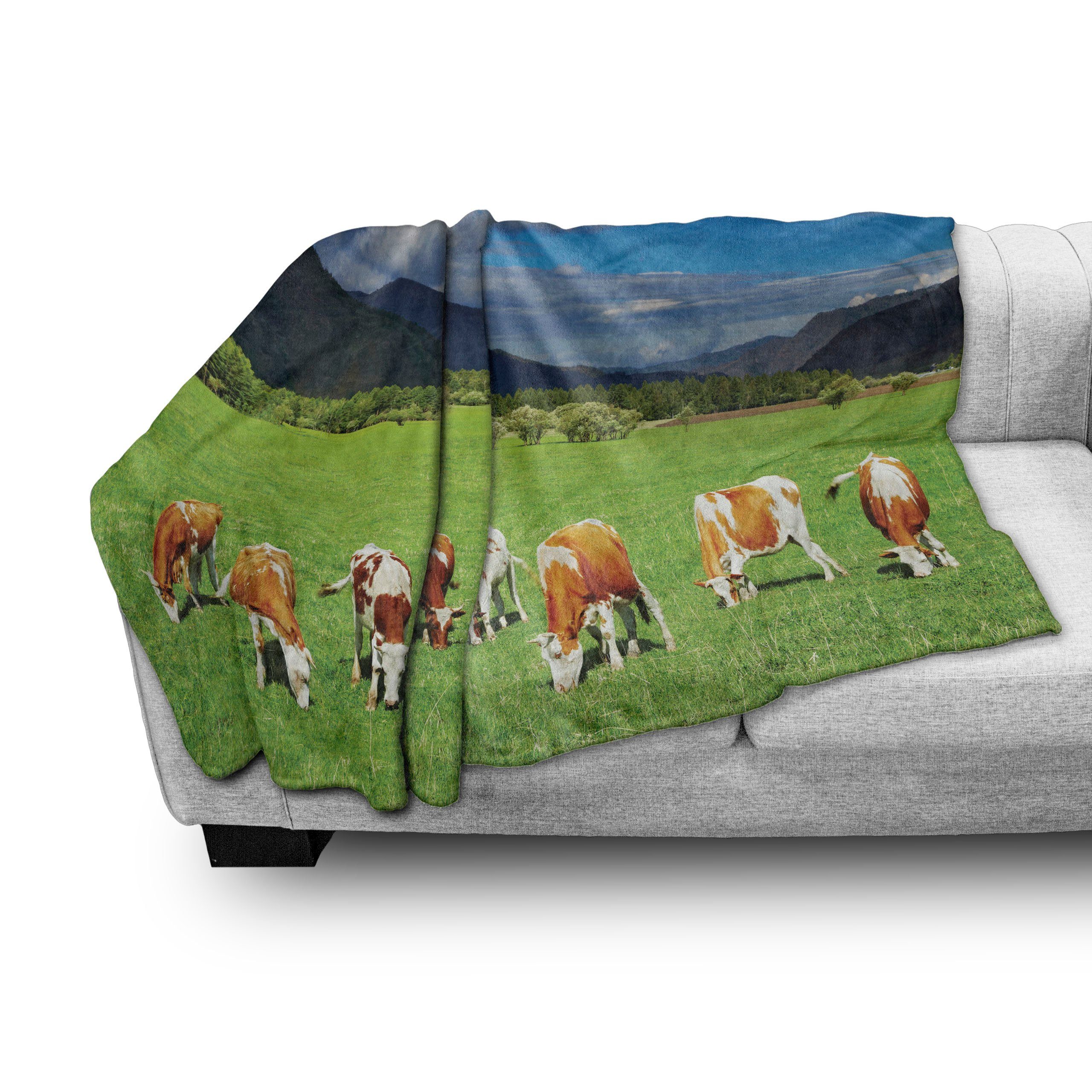 Kühe Vieh weidende den und Innen- Plüsch Gemütlicher Abakuhaus, Außenbereich, Berge Das für Wohndecke