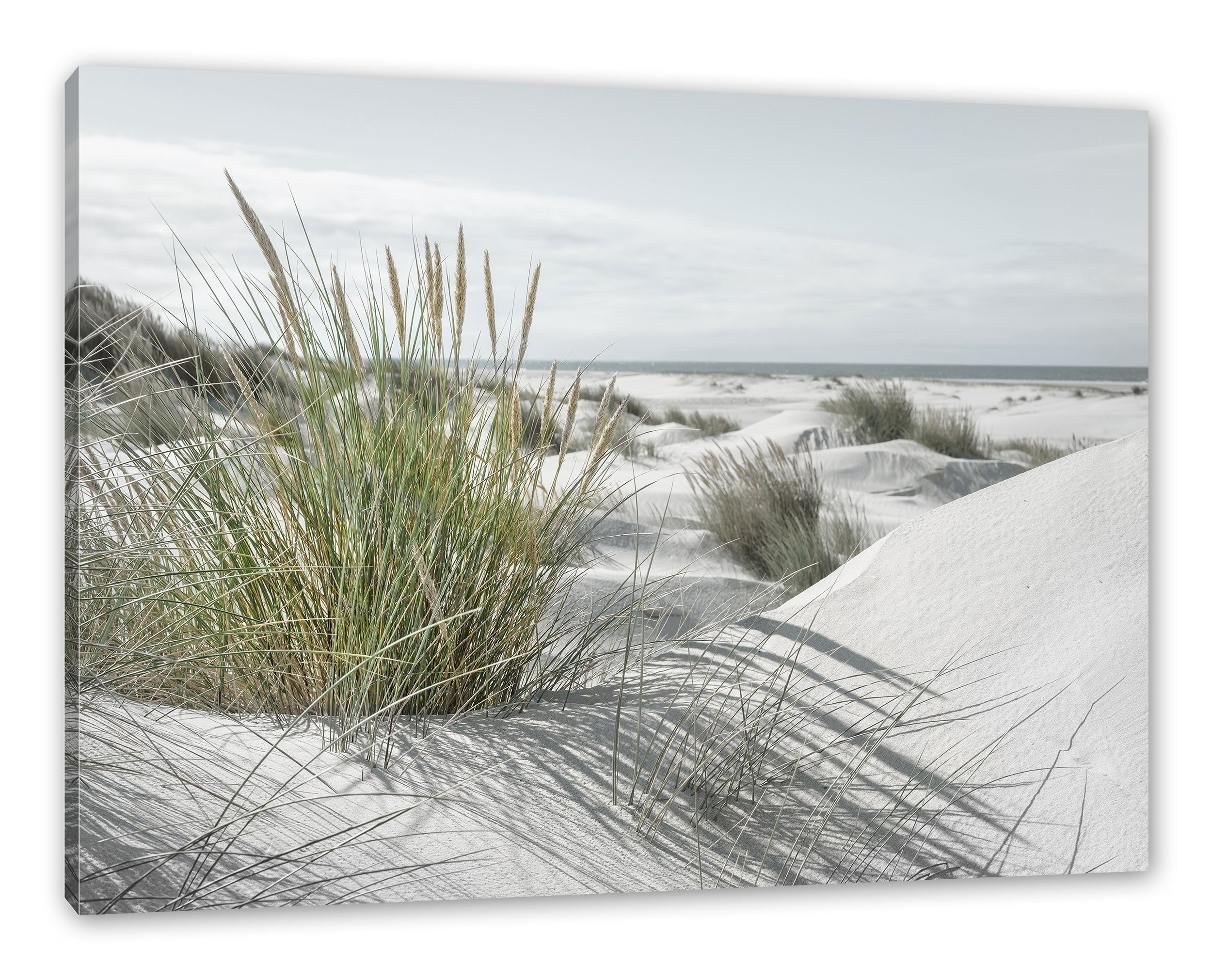 Pixxprint Leinwandbild Grasige Dünenlandschaft am Meer B&W Detail, Grasige günstig online kaufen