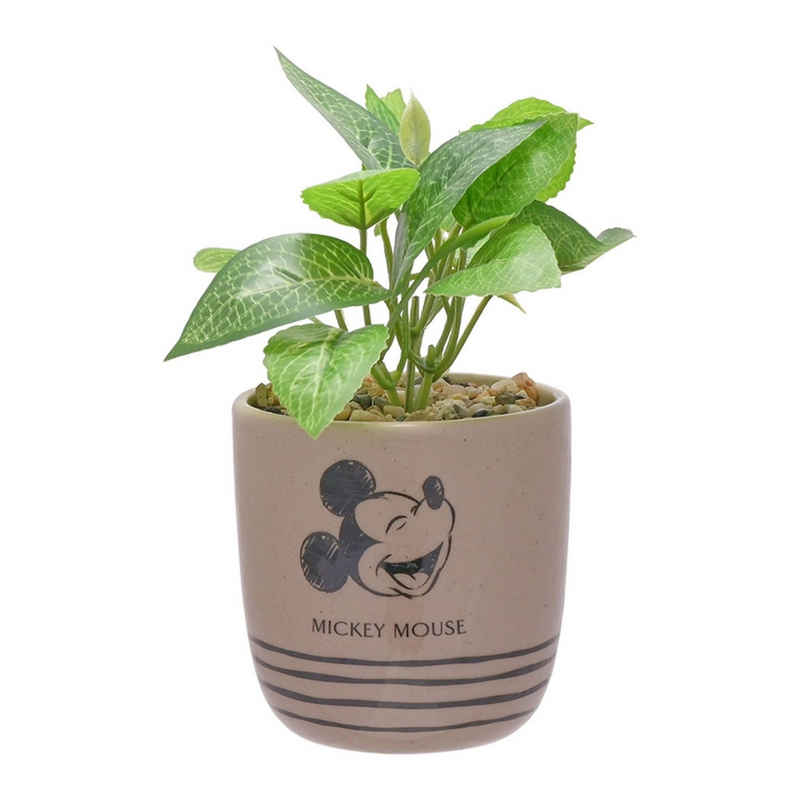 Widdop & Co Blumentopf Micky Maus - Disney