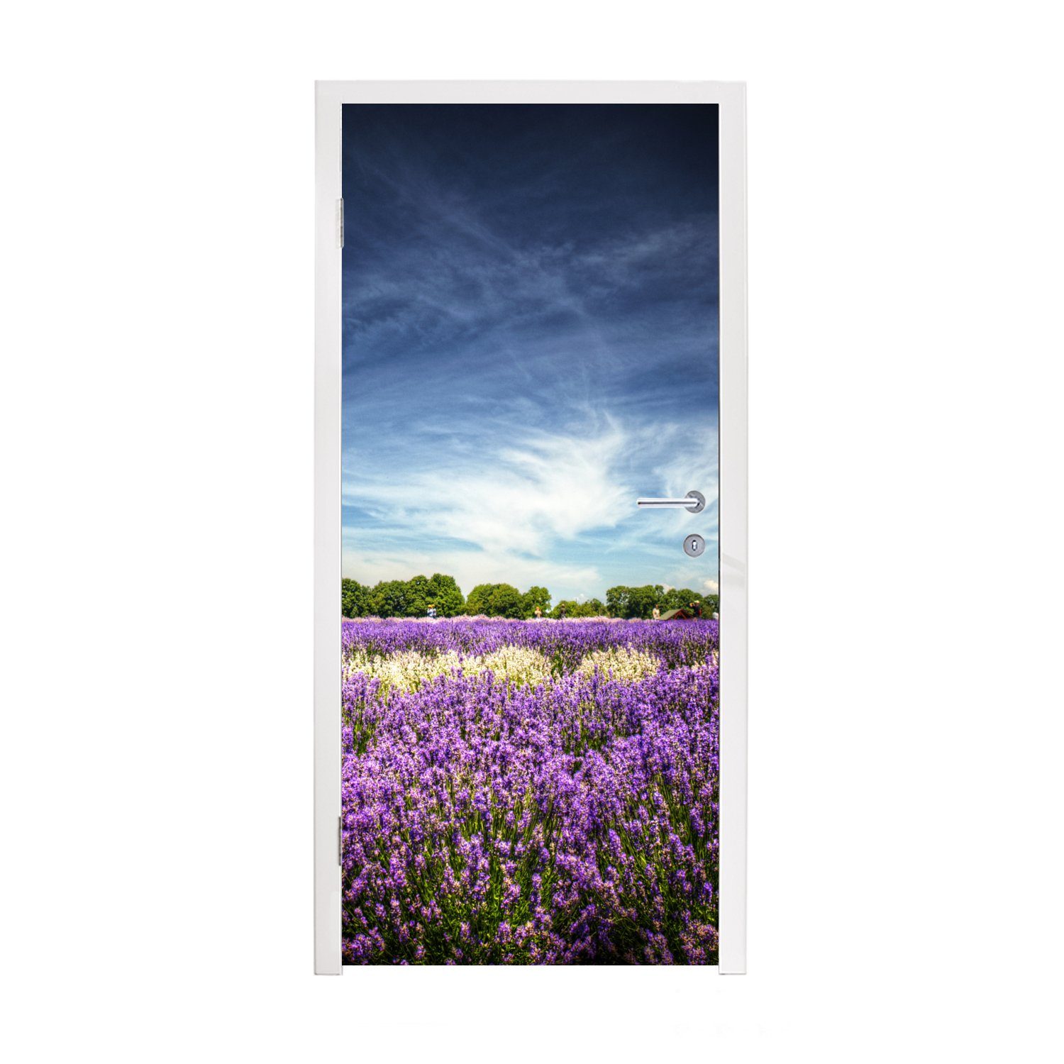 MuchoWow Türtapete Lila und weiß blühender Lavendel auf einem Feld, Matt, bedruckt, (1 St), Fototapete für Tür, Türaufkleber, 75x205 cm