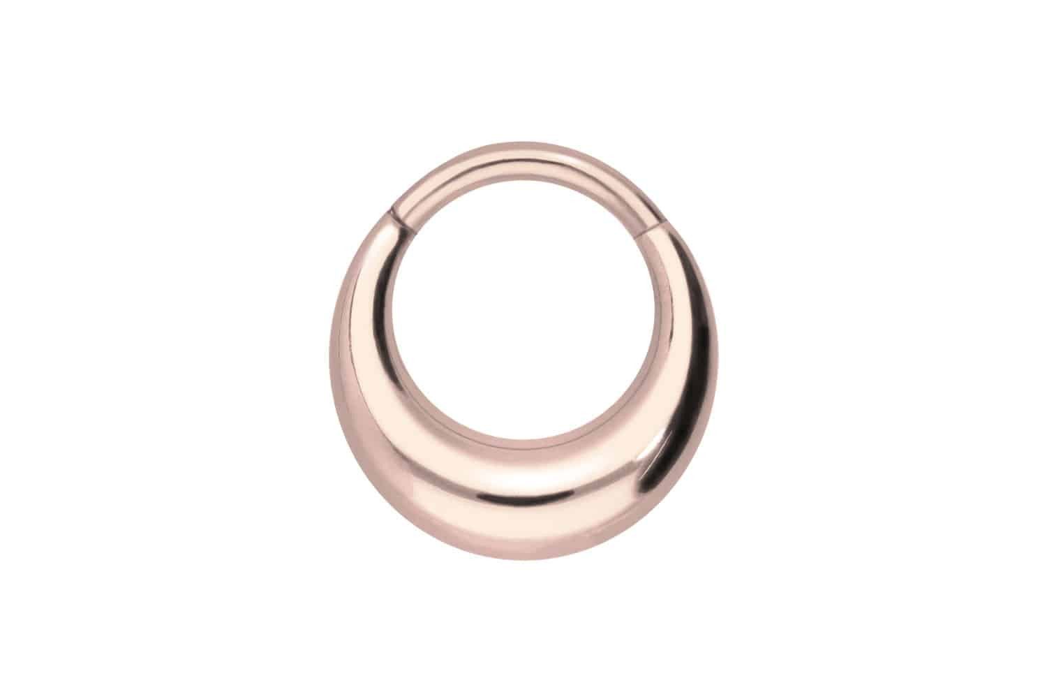 Nasenpiercing Titan Segmentring Clicker DESIGN Ohrpiercing Septum Nase