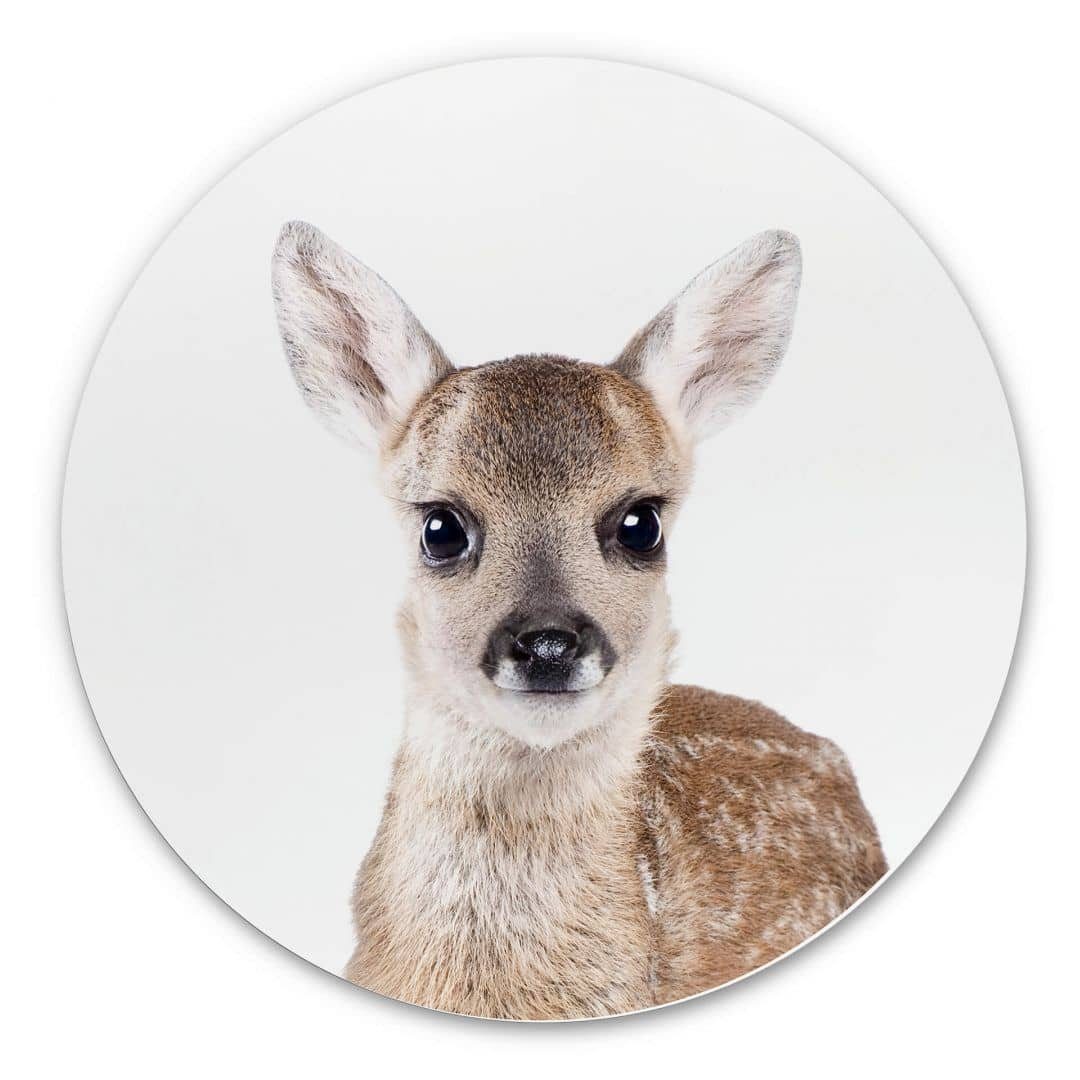 K&L Wall Art Gemälde Metallposter Rehkitz Bambi Kinderzimmer Baby Reh Waldtiere, Metalloptik Wandbild Ø 30cm