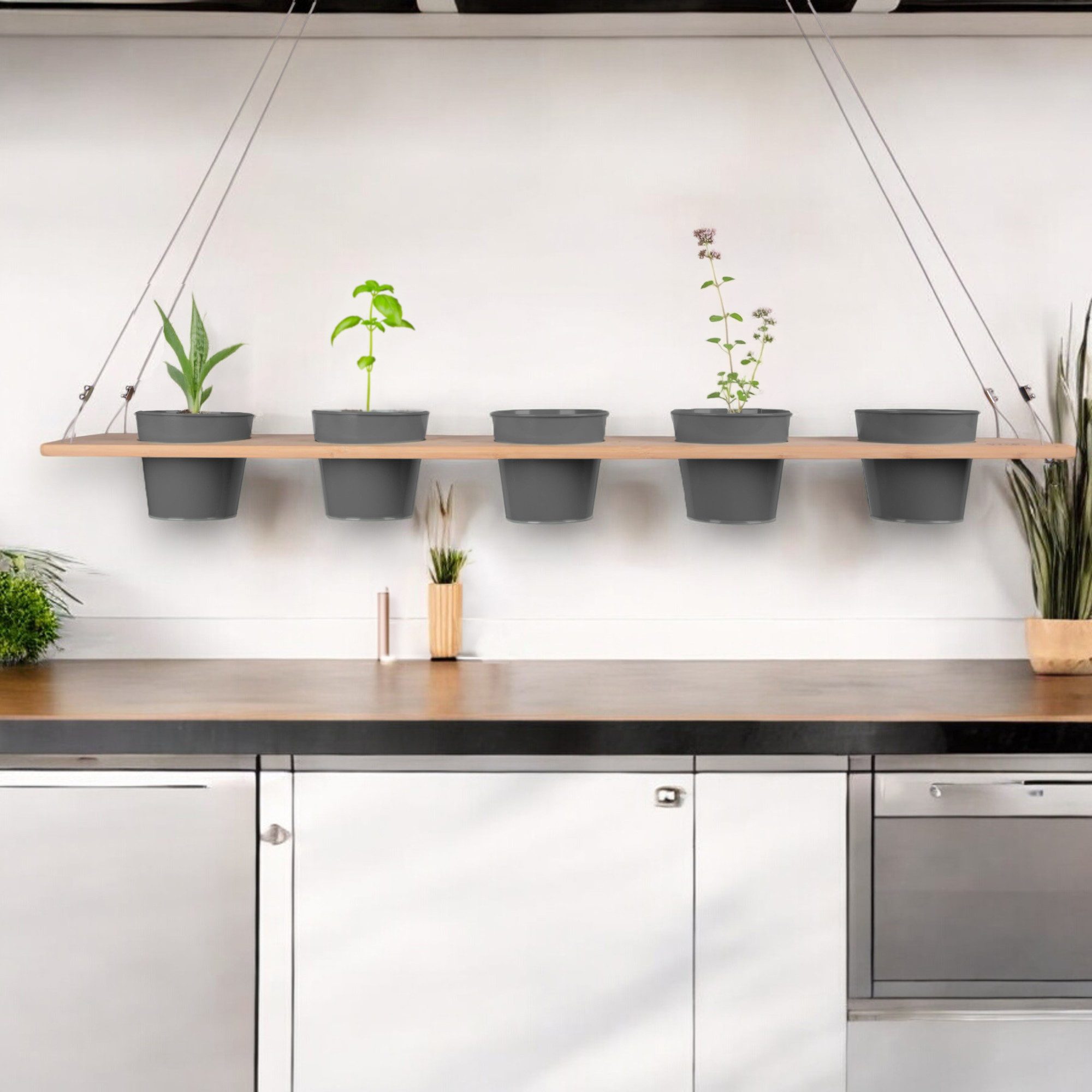 UNUS HOME Blumenkasten Kräuterbar, Pflanzenbar (natur), günstig online kaufen