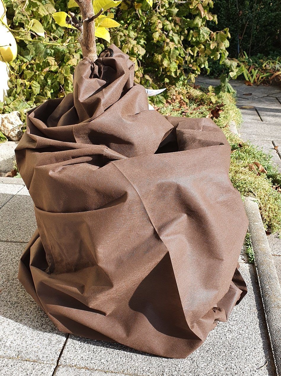 Dittmann Winterschutzvlies Topfhülle, patentierte Pyramidenform