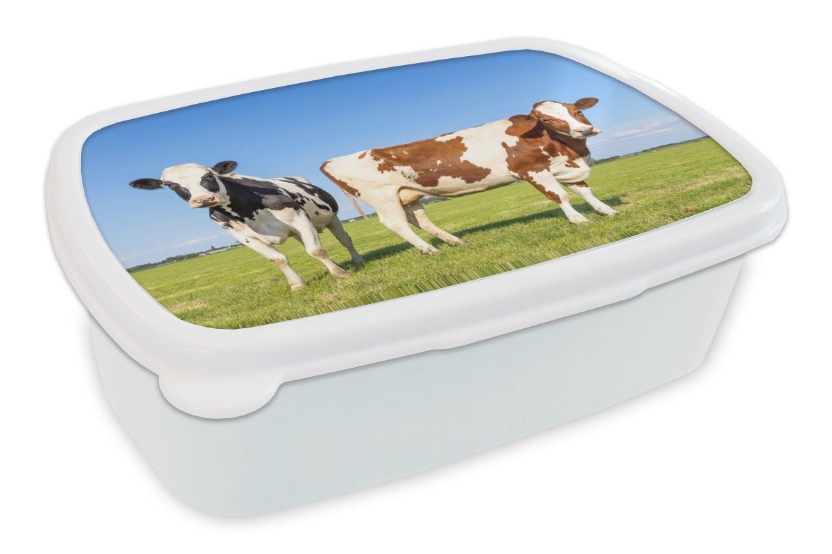 - - Jungs MuchoWow für Erwachsene, Kunststoff, Tiere, für - und weiß und Brotbox (2-tlg), Gras Bauernhof Natur Kühe Lunchbox Mädchen Kinder - Brotdose,