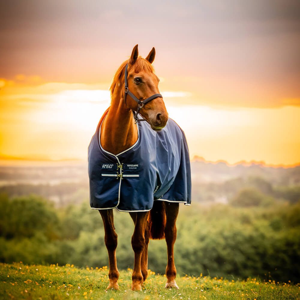 Horseware Pferde-Regendecke Horseware Amigo Ripstop 900D Pony Turnout 0g