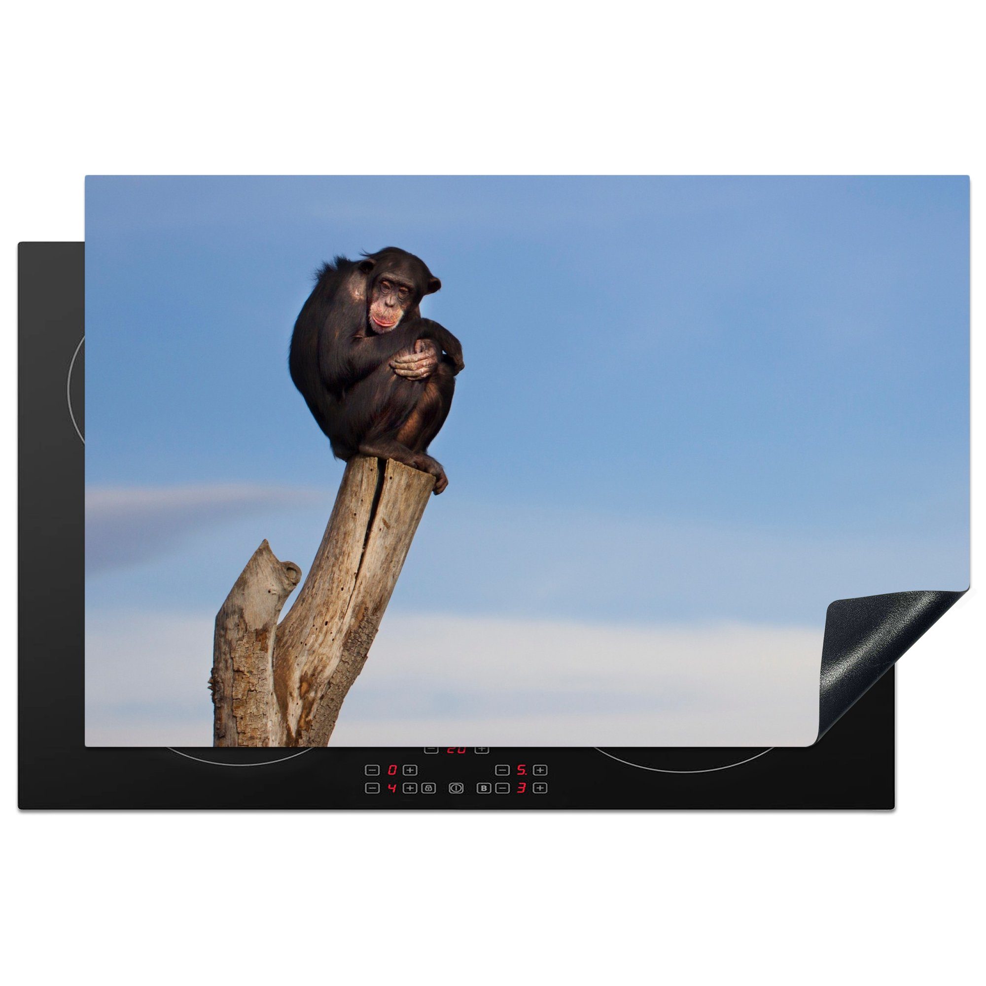 MuchoWow Herdblende-/Abdeckplatte Affe - Pfahl - Schimpanse - Tiere - Himmel, Vinyl, (1 tlg), 81x52 cm, Induktionskochfeld Schutz für die küche, Ceranfeldabdeckung