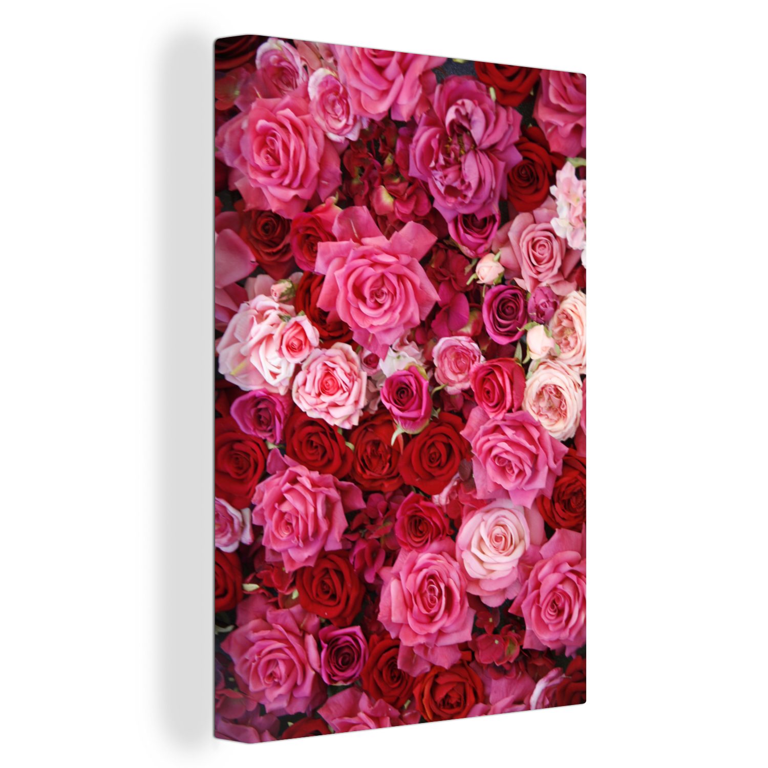 OneMillionCanvasses® Leinwandbild Rosen - Rosa - Rot, (1 St), Leinwandbild fertig bespannt inkl. Zackenaufhänger, Gemälde, 20x30 cm