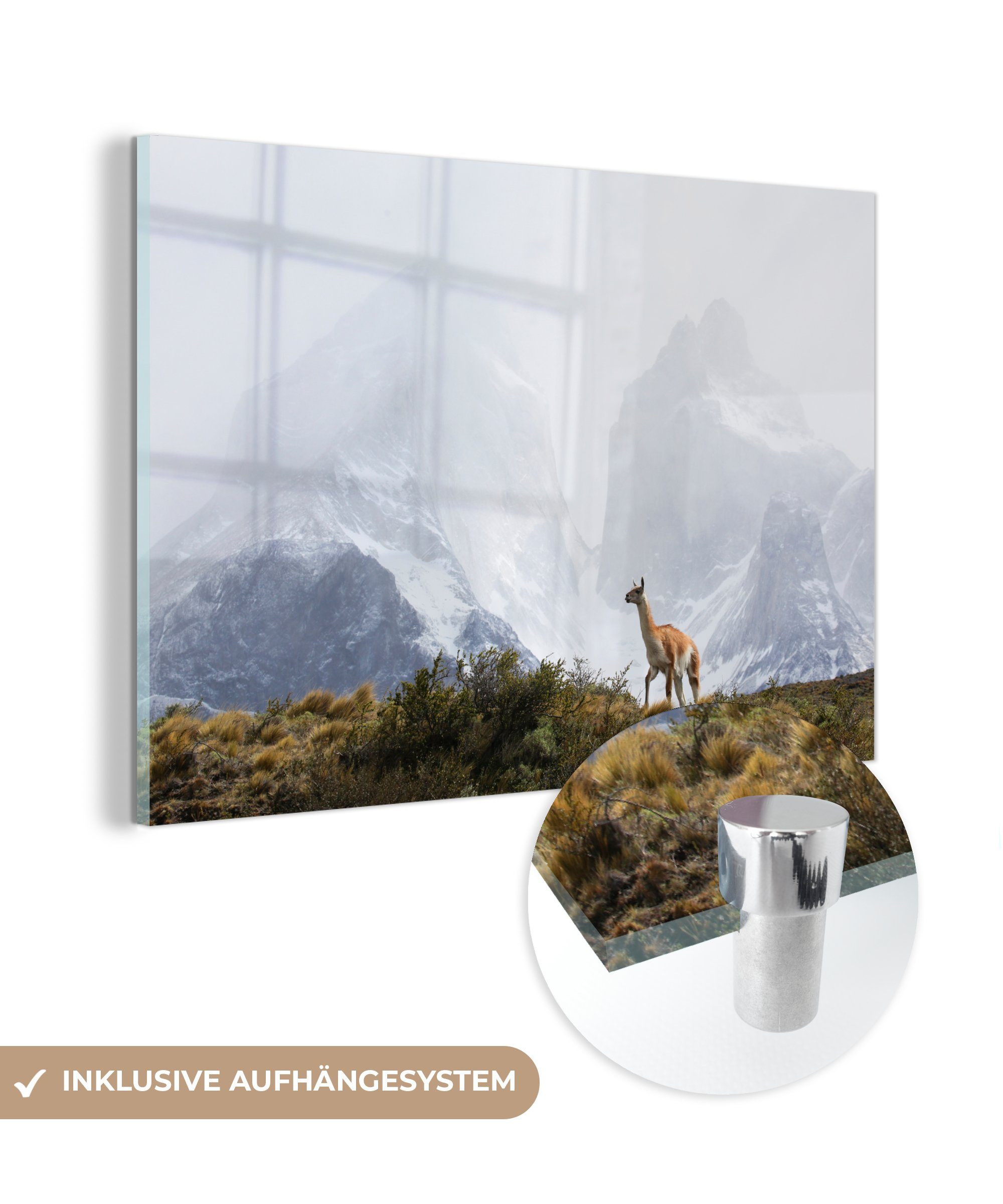 MuchoWow Acrylglasbild Lama - Schnee - Berge, (1 St), Acrylglasbilder Wohnzimmer & Schlafzimmer