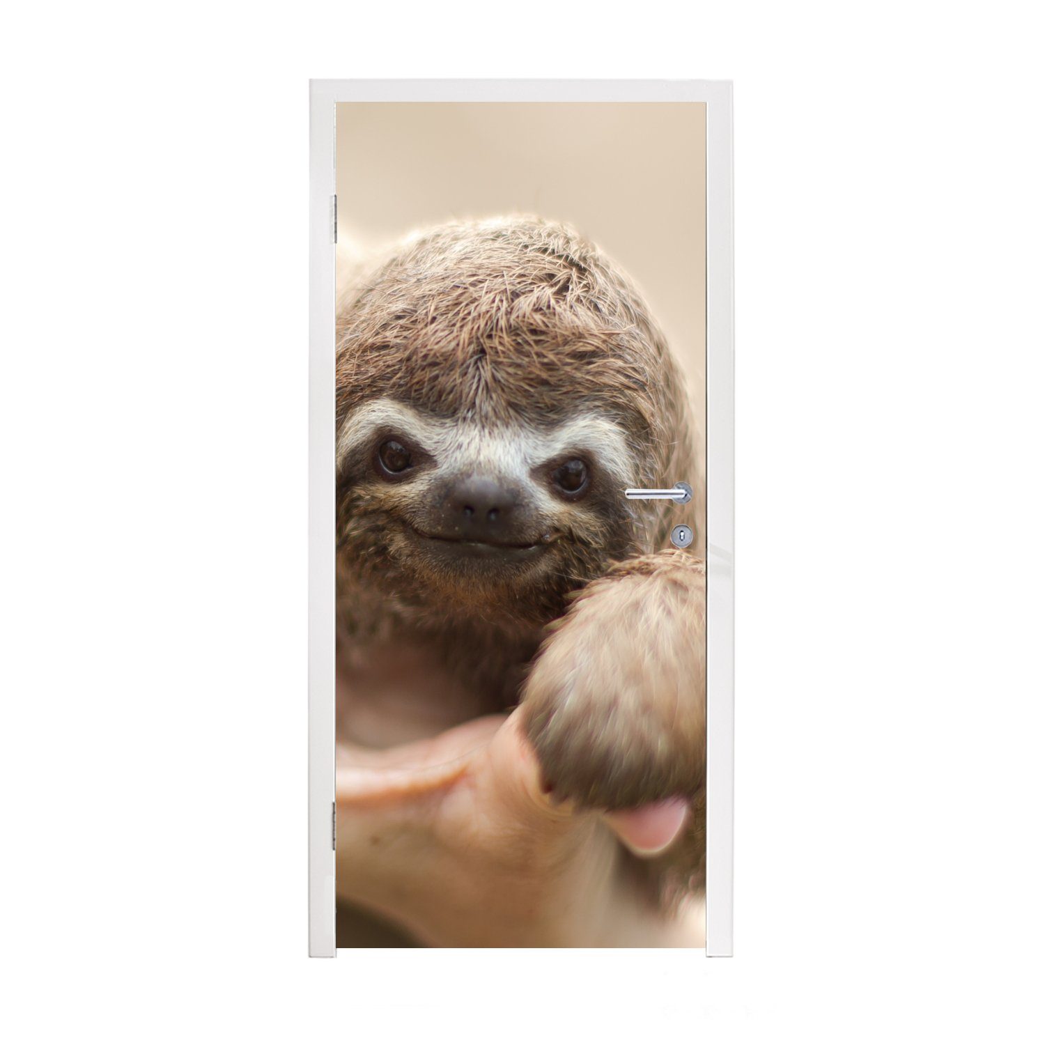 MuchoWow Türtapete Ein junges Faultier in einer Hand, Matt, bedruckt, (1 St), Fototapete für Tür, Türaufkleber, 75x205 cm