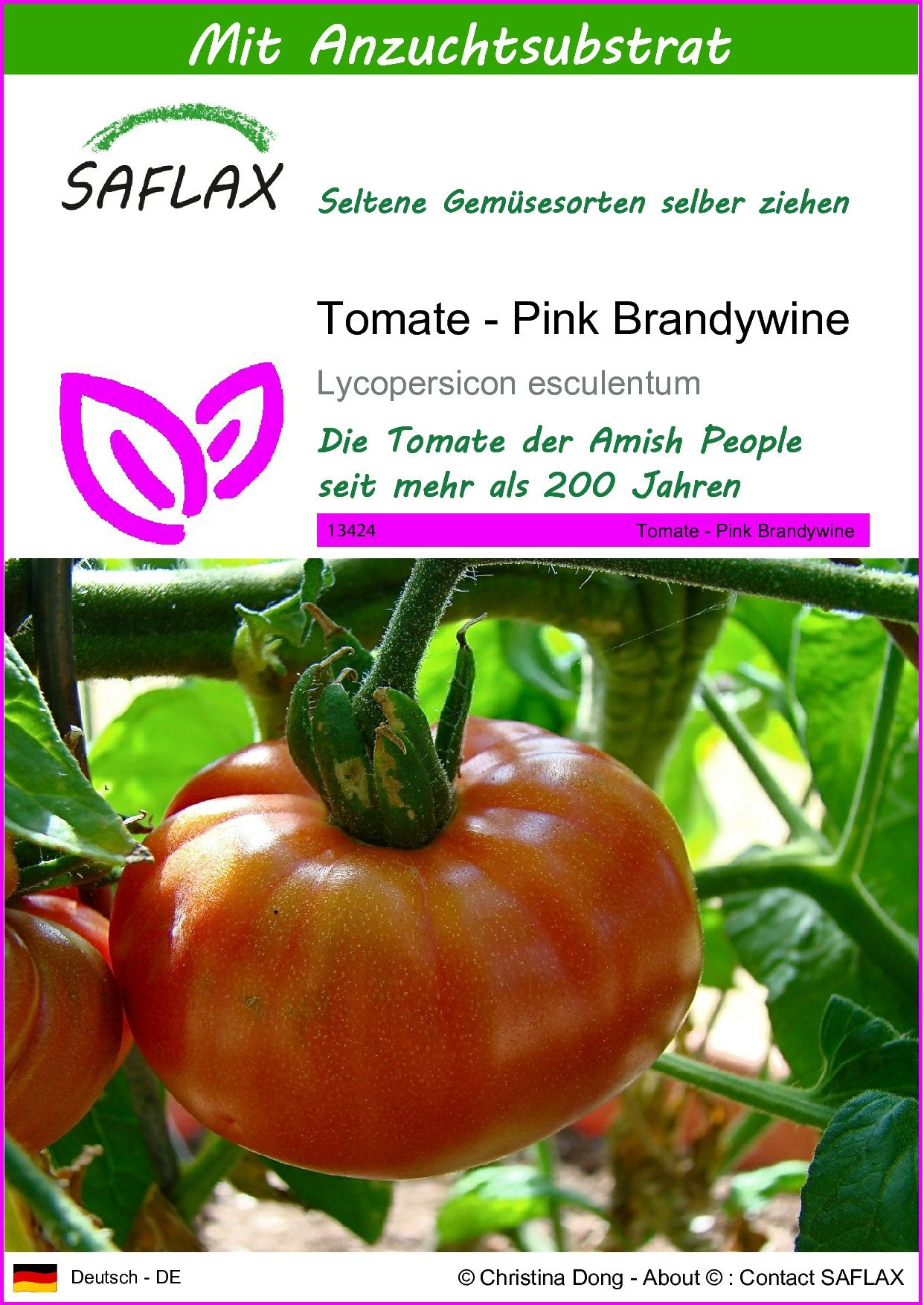Gemüsesamen SAFLAX - Samen und Substrat - Tomate - Pink Brandywine