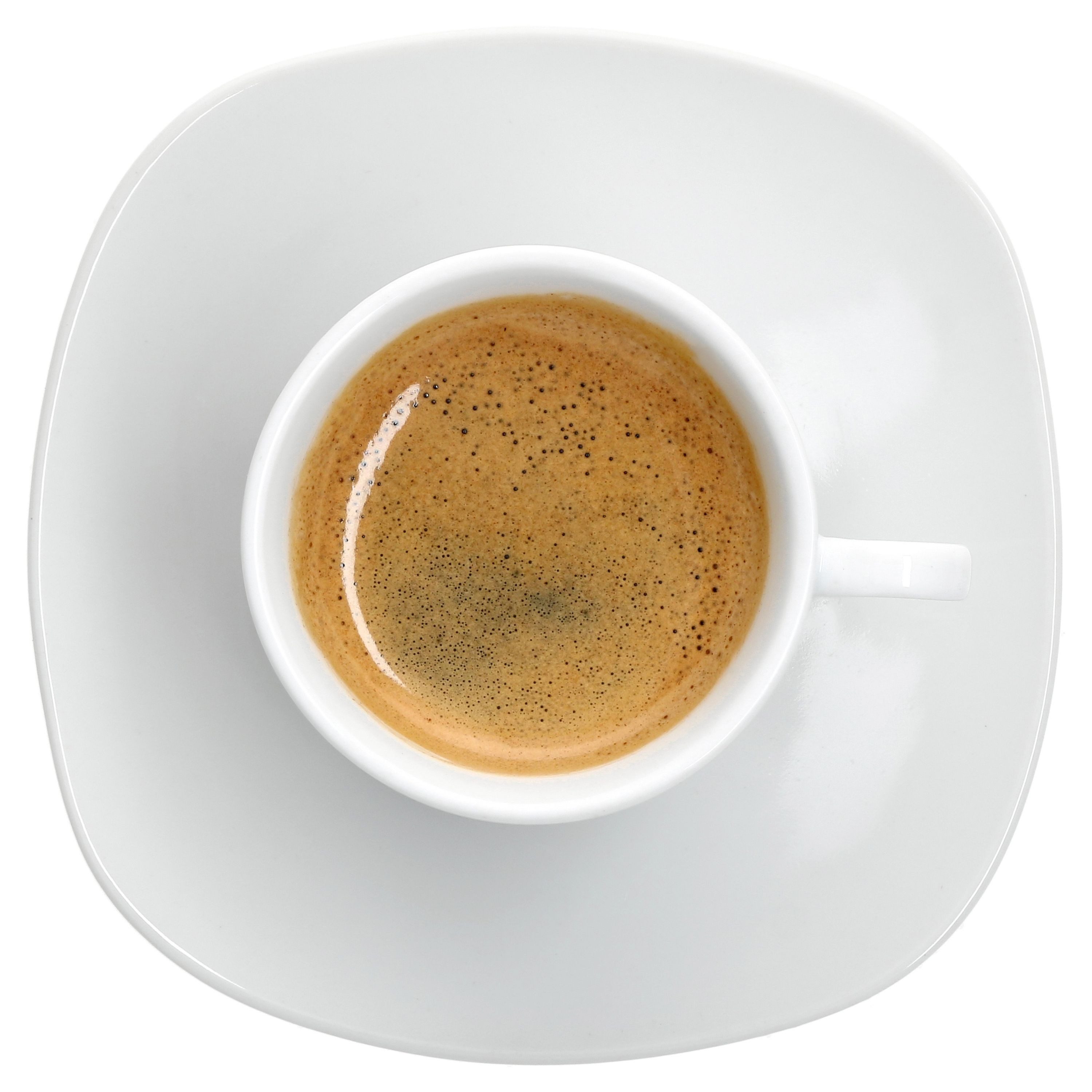 MamboCat Tasse 6er Set Lotta Espressotassen 80ml + Untertassen 6 Personen, Porzellan