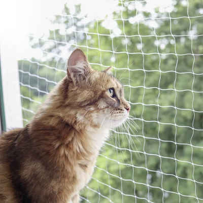 Kerbl Hundegitter Katzen-Schutznetz 4x3 m Transparent