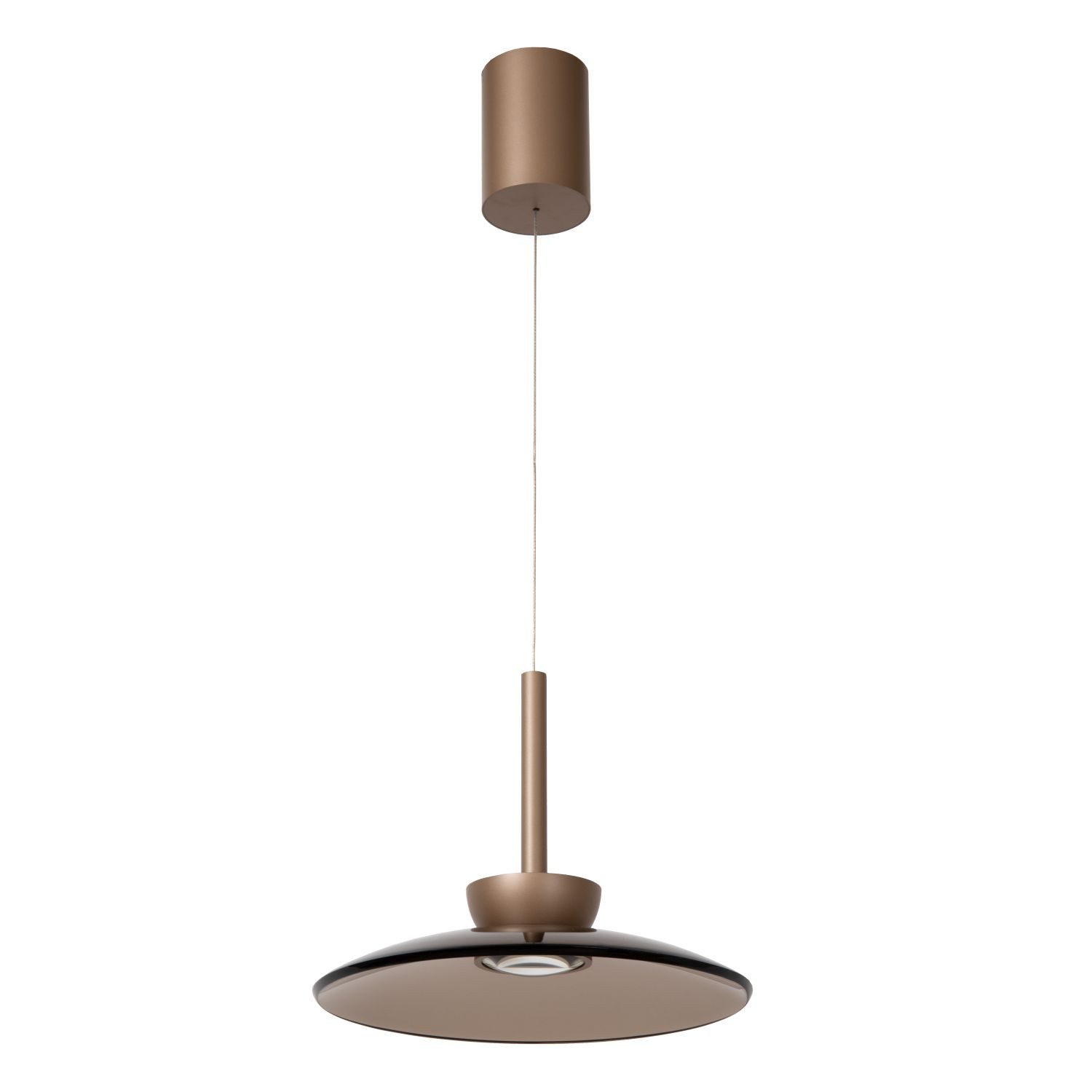 Licht-Erlebnisse Pendelleuchte ARISO, LED fest integriert, Warmweiß, Metall Rauchglas LED rund Ø 32 cm H: max. 180 cm Champagner Bernstein