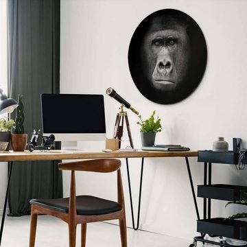 K&L Wall Art Gemälde Metallposter rund Gorilla Safari schwarz-weiß Waldtiere Natur Deko, Metalloptik Wandbild Ø 30cm