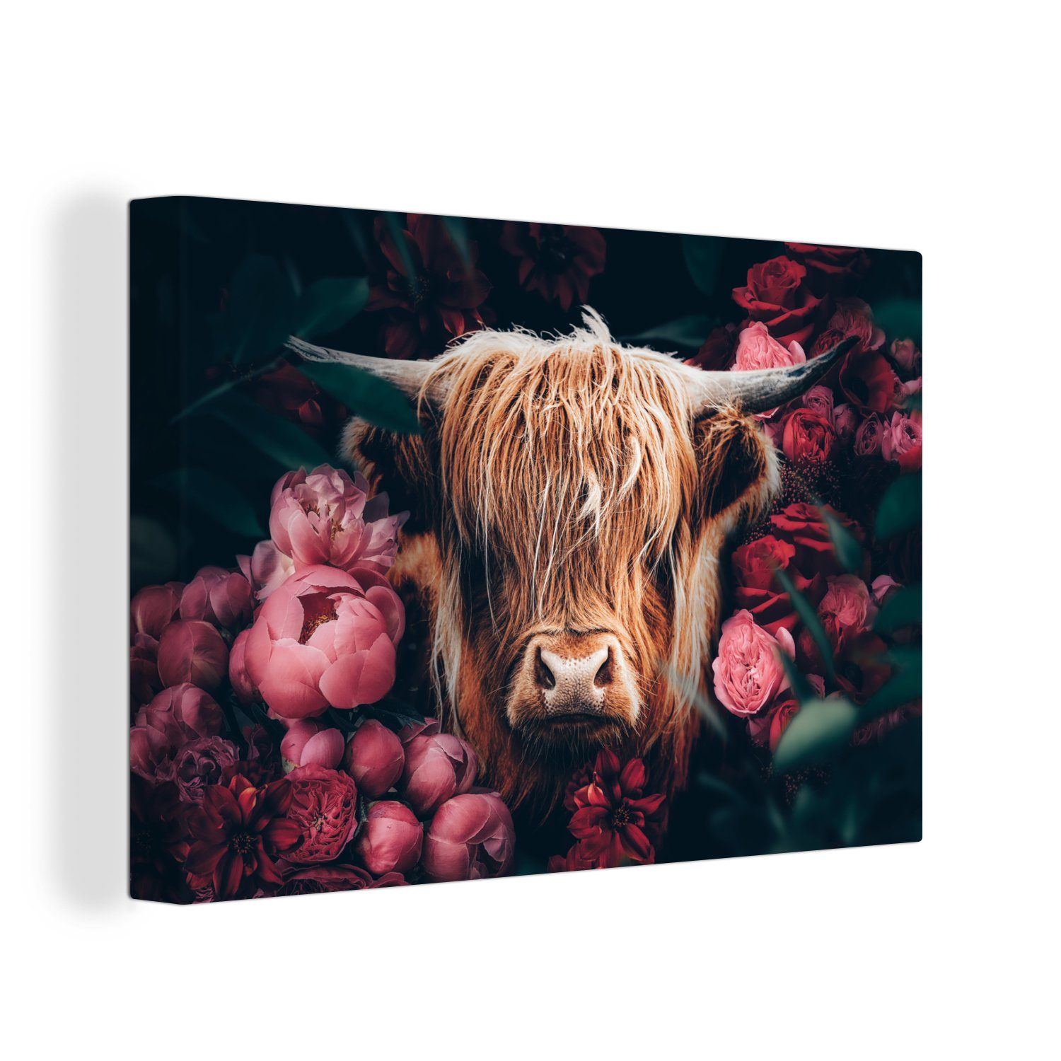 OneMillionCanvasses® Leinwandbild Kuh - Schottischer Highlander - Blumen - günstig online kaufen
