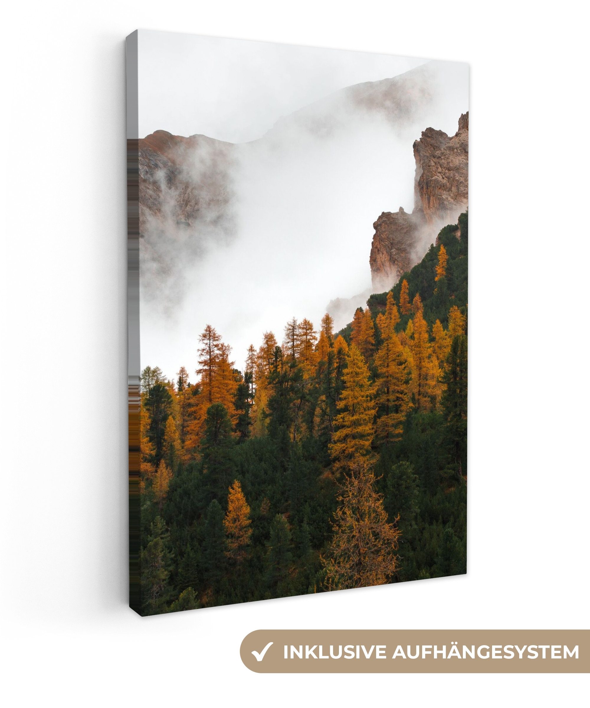 OneMillionCanvasses® Leinwandbild Kiefer - Herbst - Berg - Landschaft, Fotodruck (1 St), Leinwand Canvas Wandbild, Wanddekoration 20x30 cm